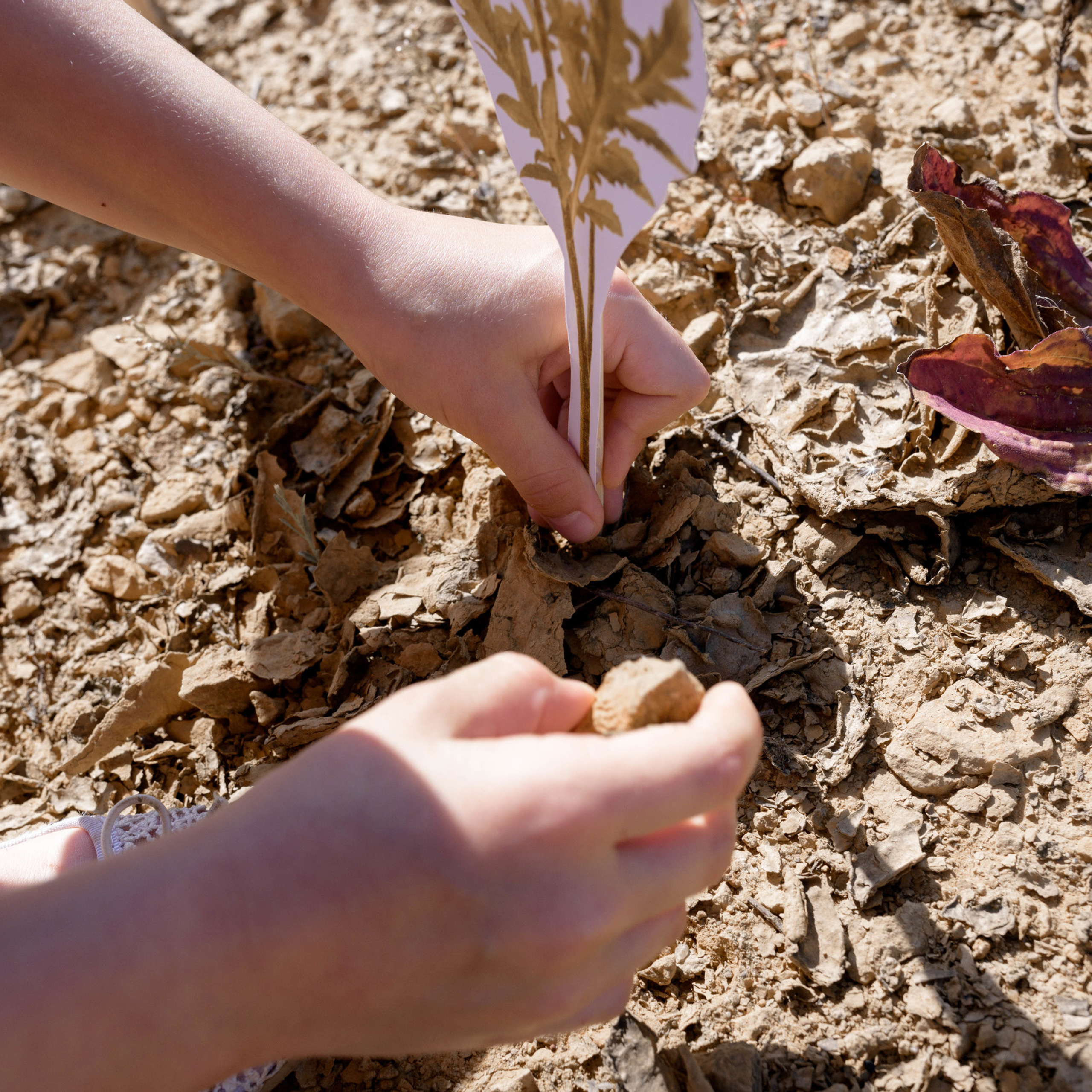 Экология. Фотографы в Орле Шестопаловы Юлия и Юрий