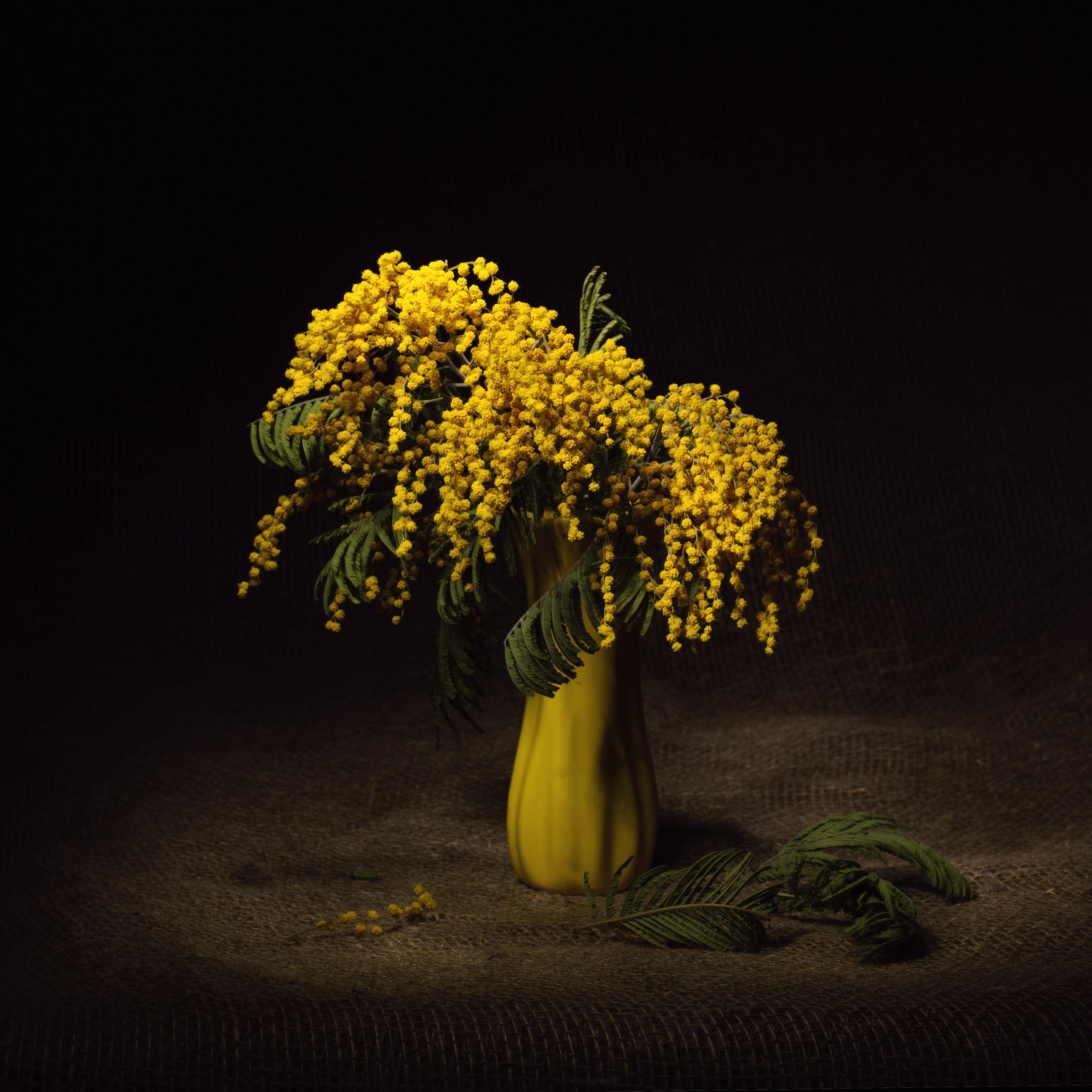 Виртуальная выставка от Орловского областного центра. Фотографы в Орле Шестопаловы Юлия и Юрий