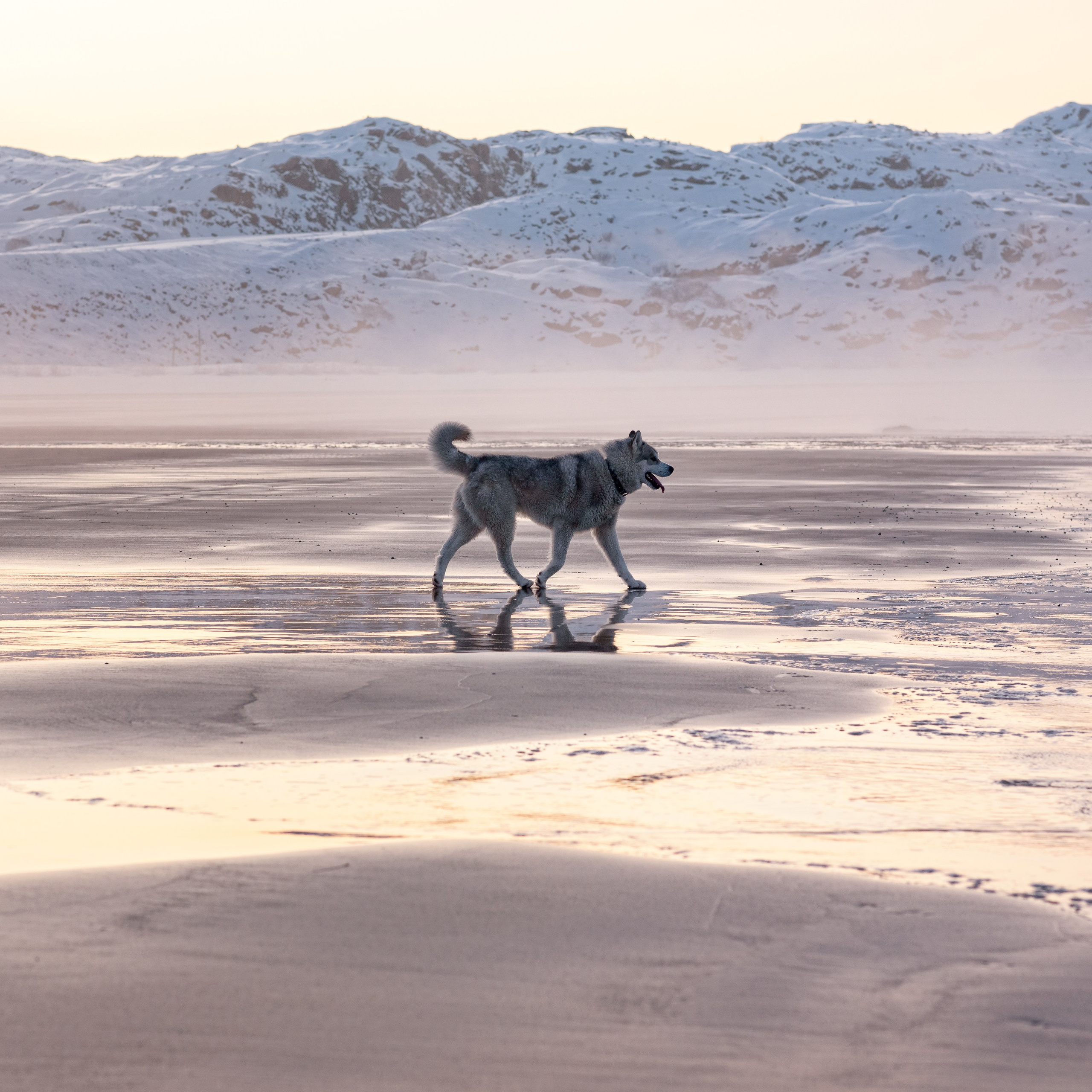 Виртуальная выставка от Орловского областного центра. Фотографы в Орле Шестопаловы Юлия и Юрий