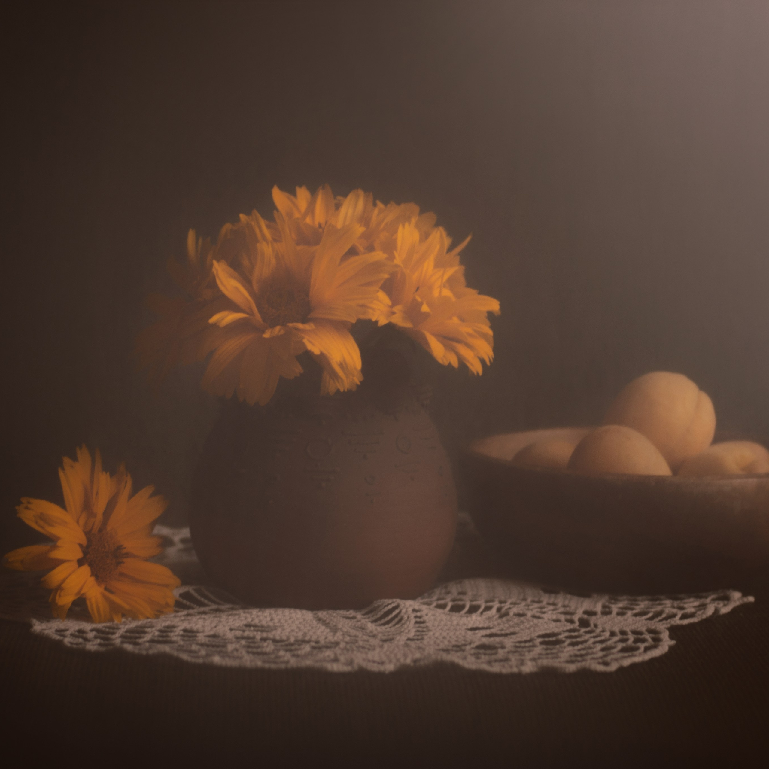 Виртуальная выставка от Орловского областного центра. Фотографы в Орле Шестопаловы Юлия и Юрий