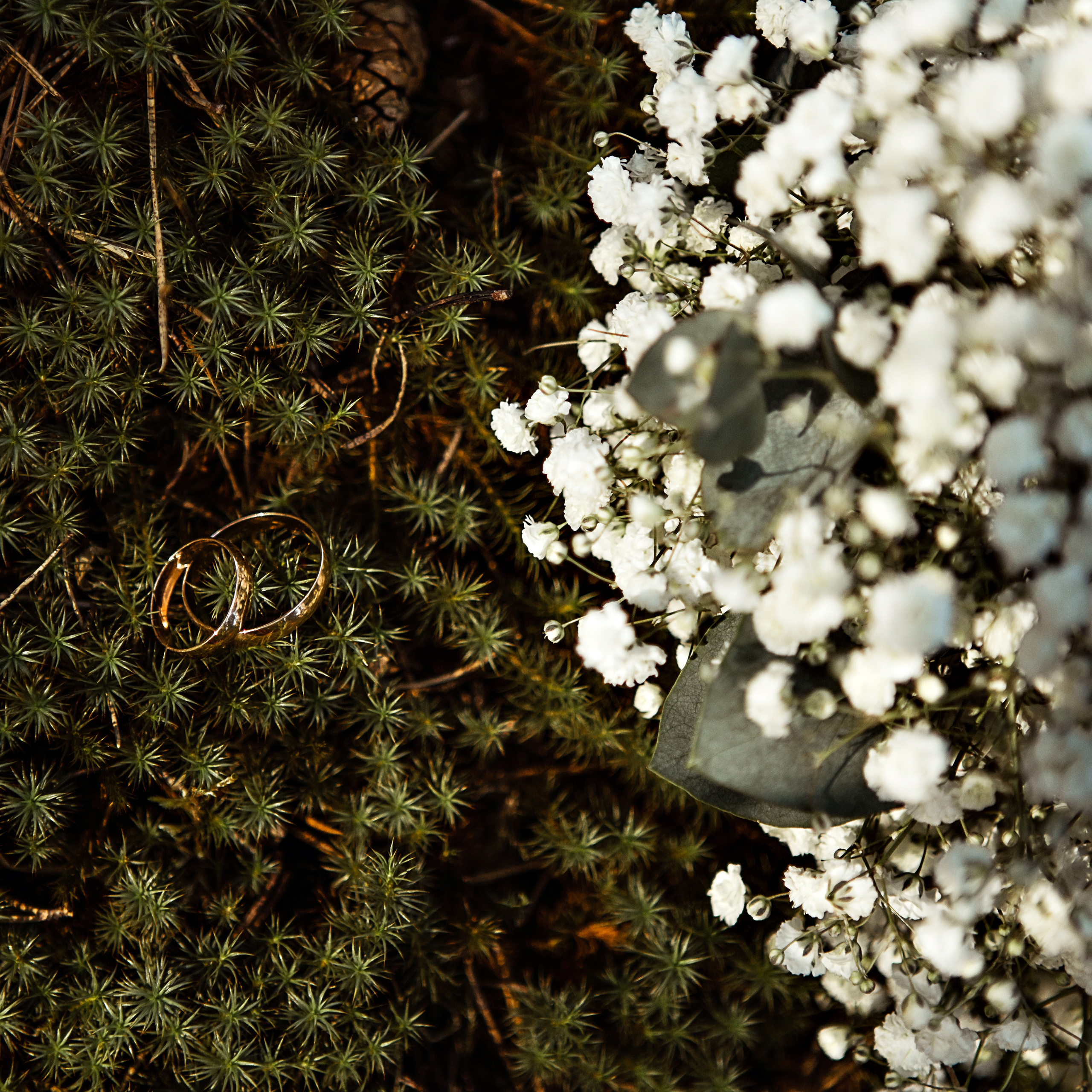 Свадебная фотосъёмка. Свадебный и семейный фотограф в Ярославле Эвелина Староверова