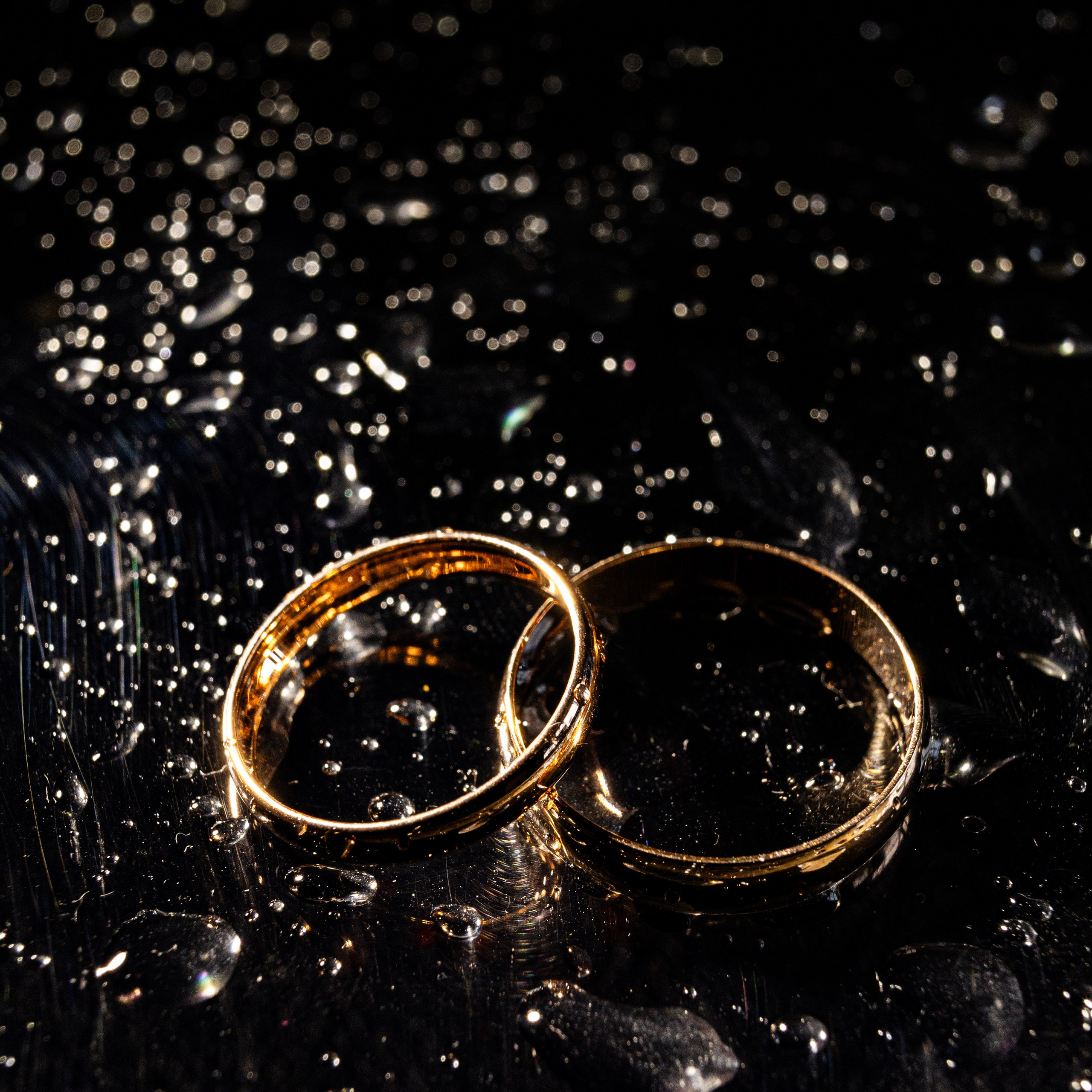 Фотограф Таганрог и Ростов-на-Дону