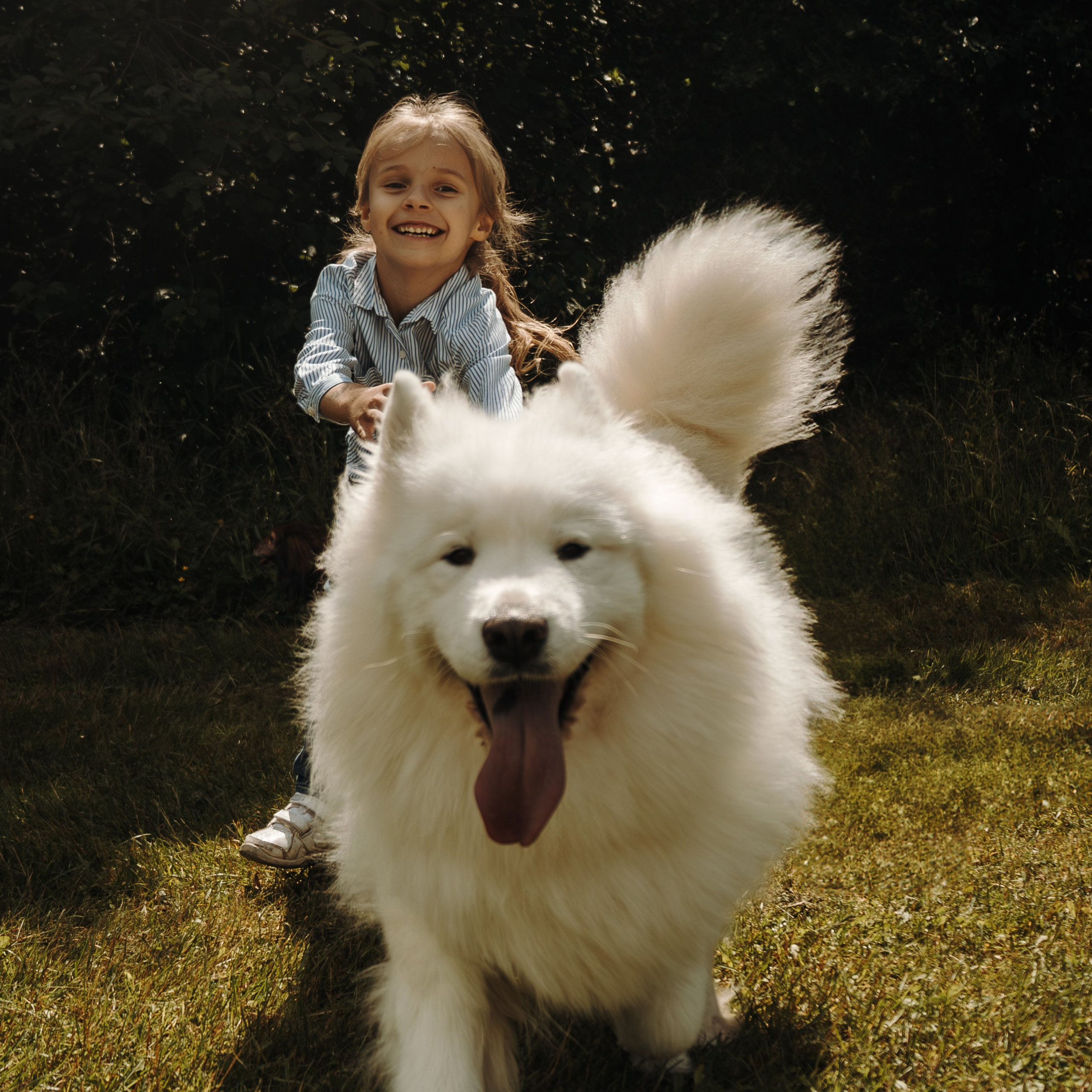 Фотосессия с ребенком и собакой в Москве