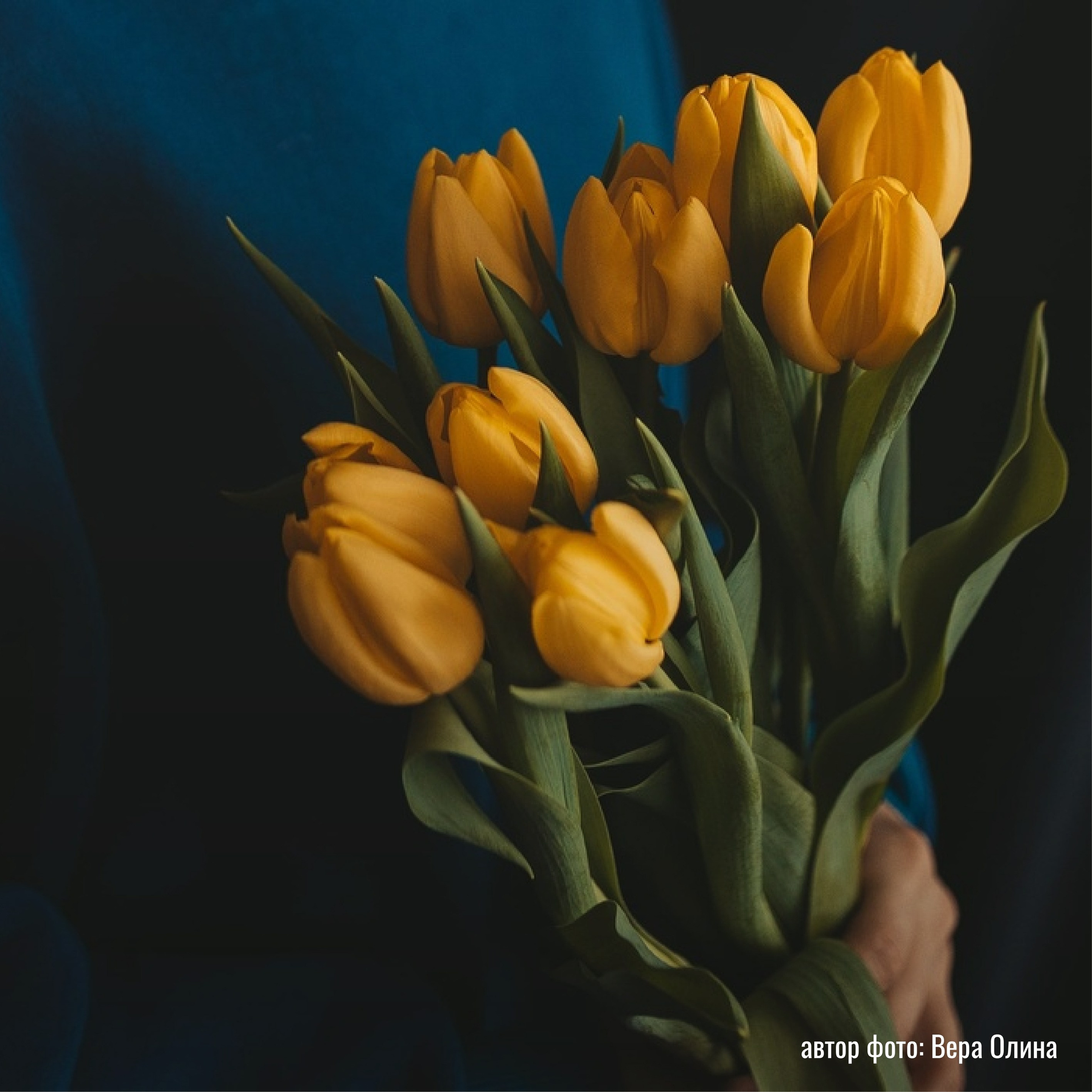 Выставки работ участников практикума по композиции | Марусина мастерская