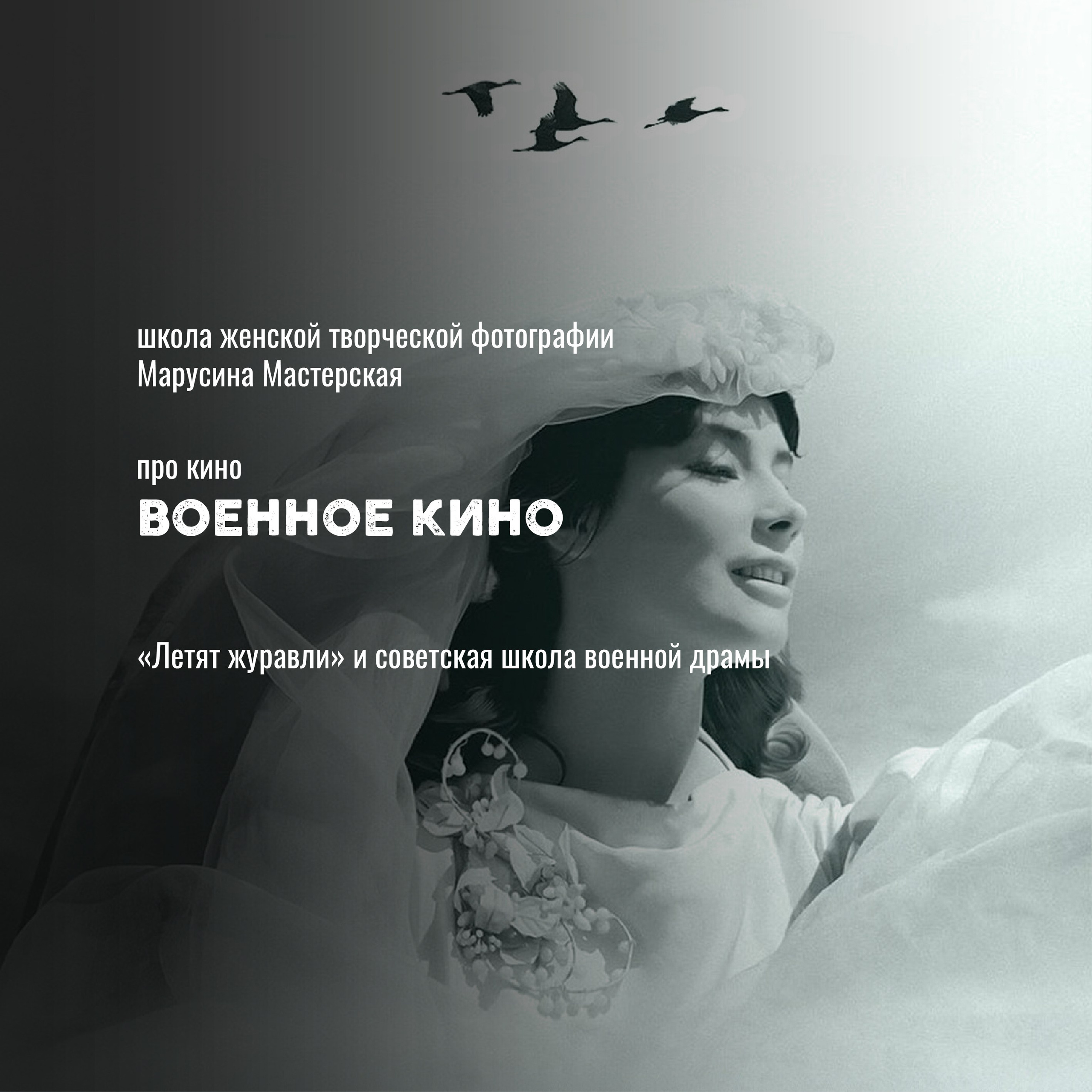 Кино как язык: жанры, авторы и «кино про кино» — карта мирового кинематографа