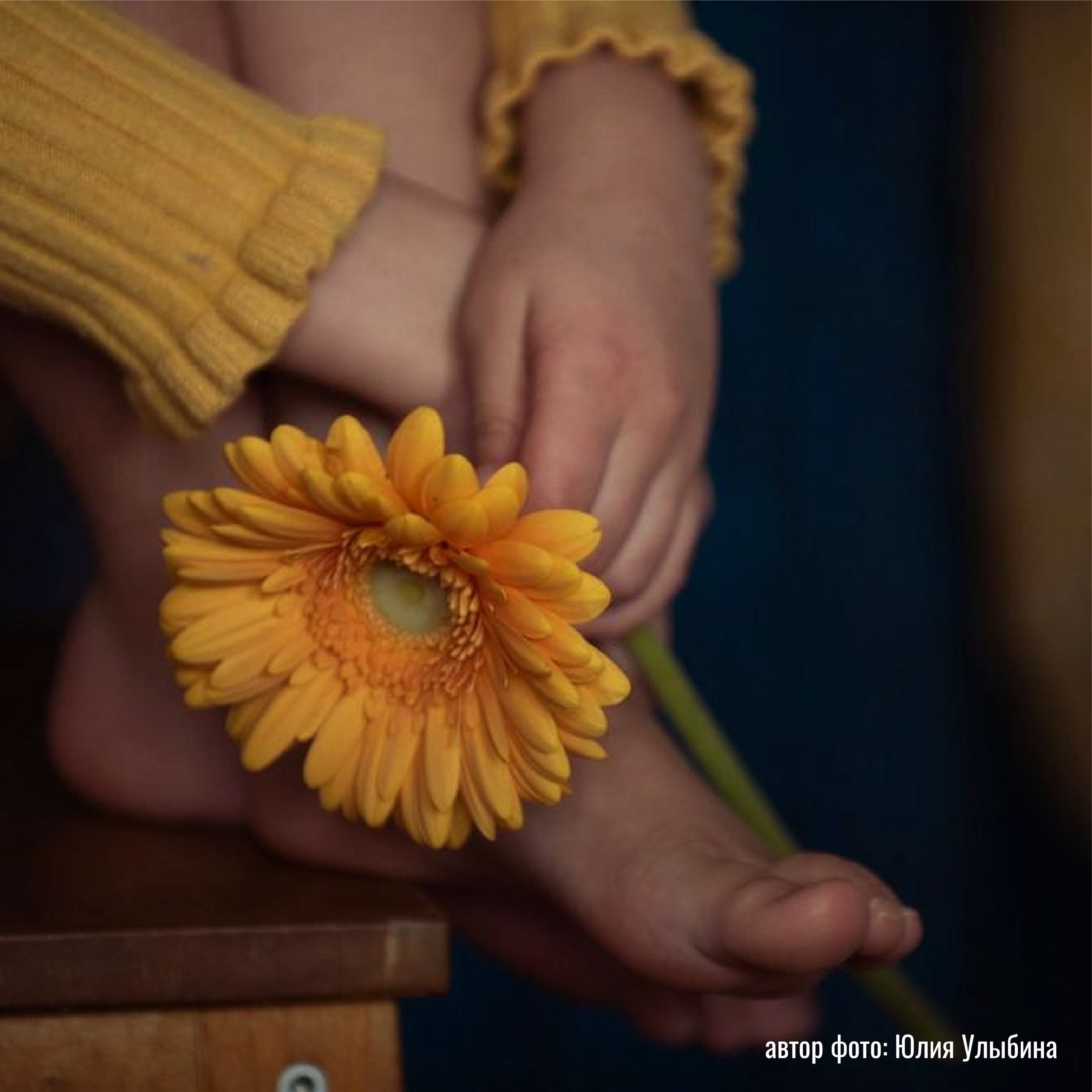 Выставки работ участников практикума по композиции | Марусина мастерская