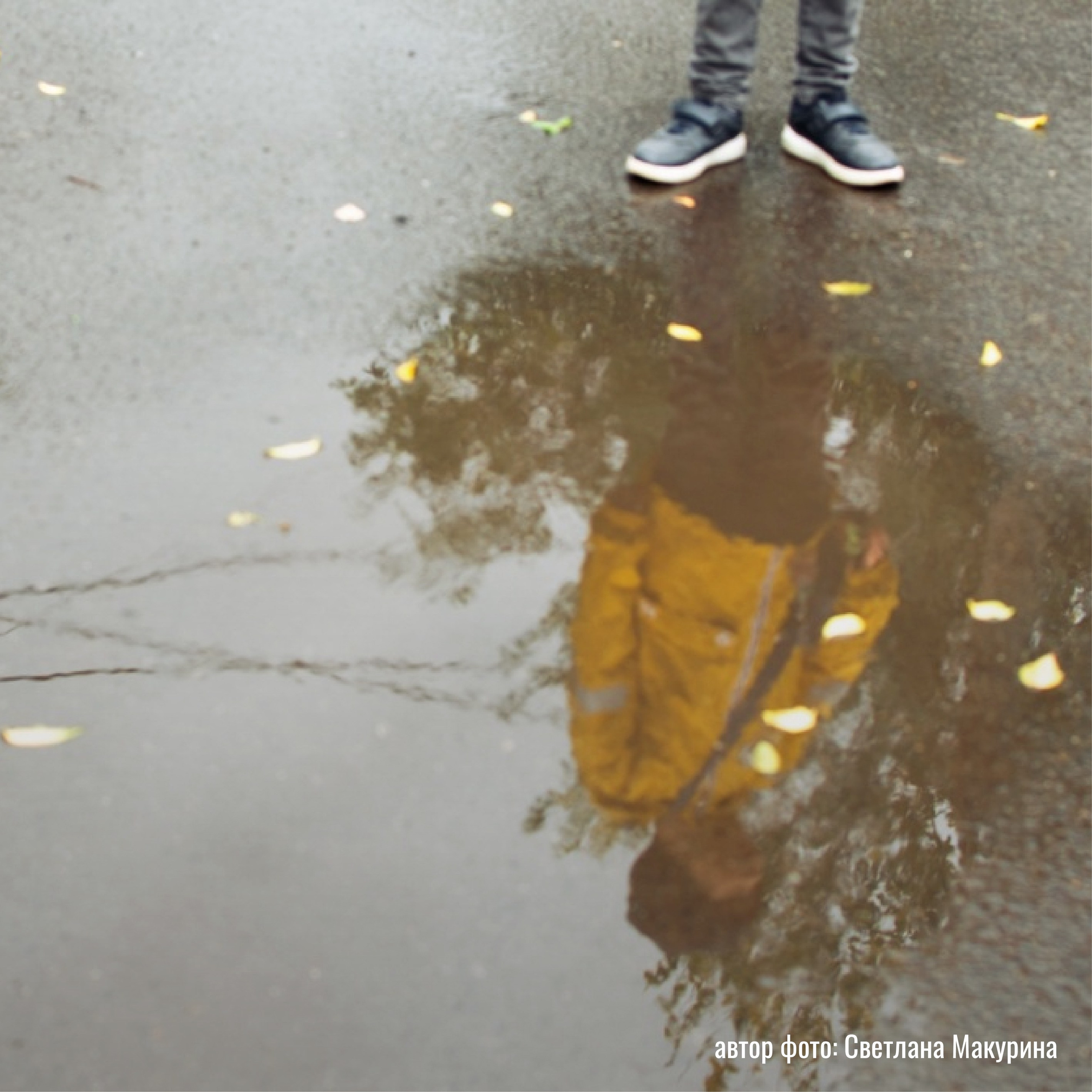 Выставки работ участников практикума по композиции | Марусина мастерская