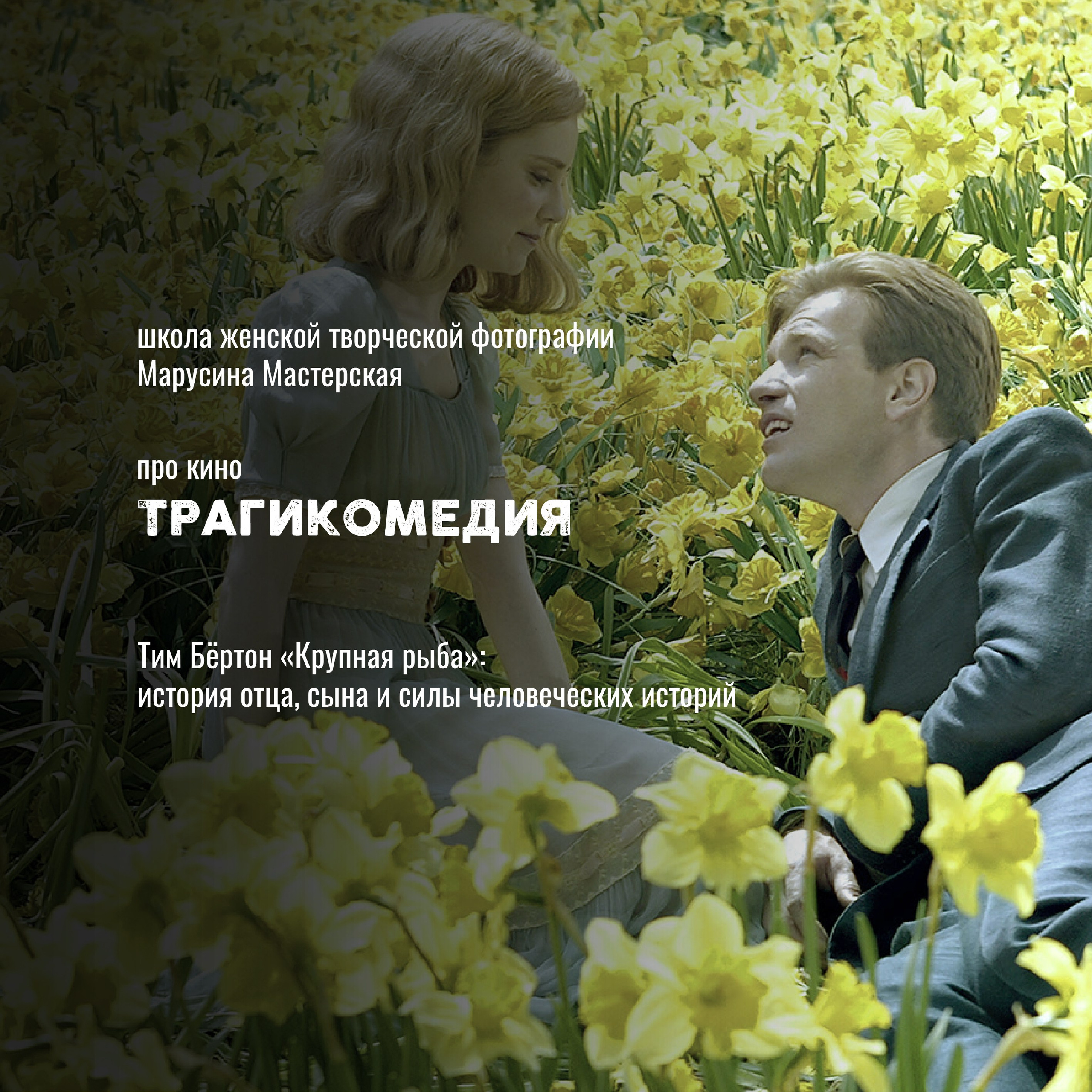 Кино как язык: жанры, авторы и «кино про кино» — карта мирового кинематографа