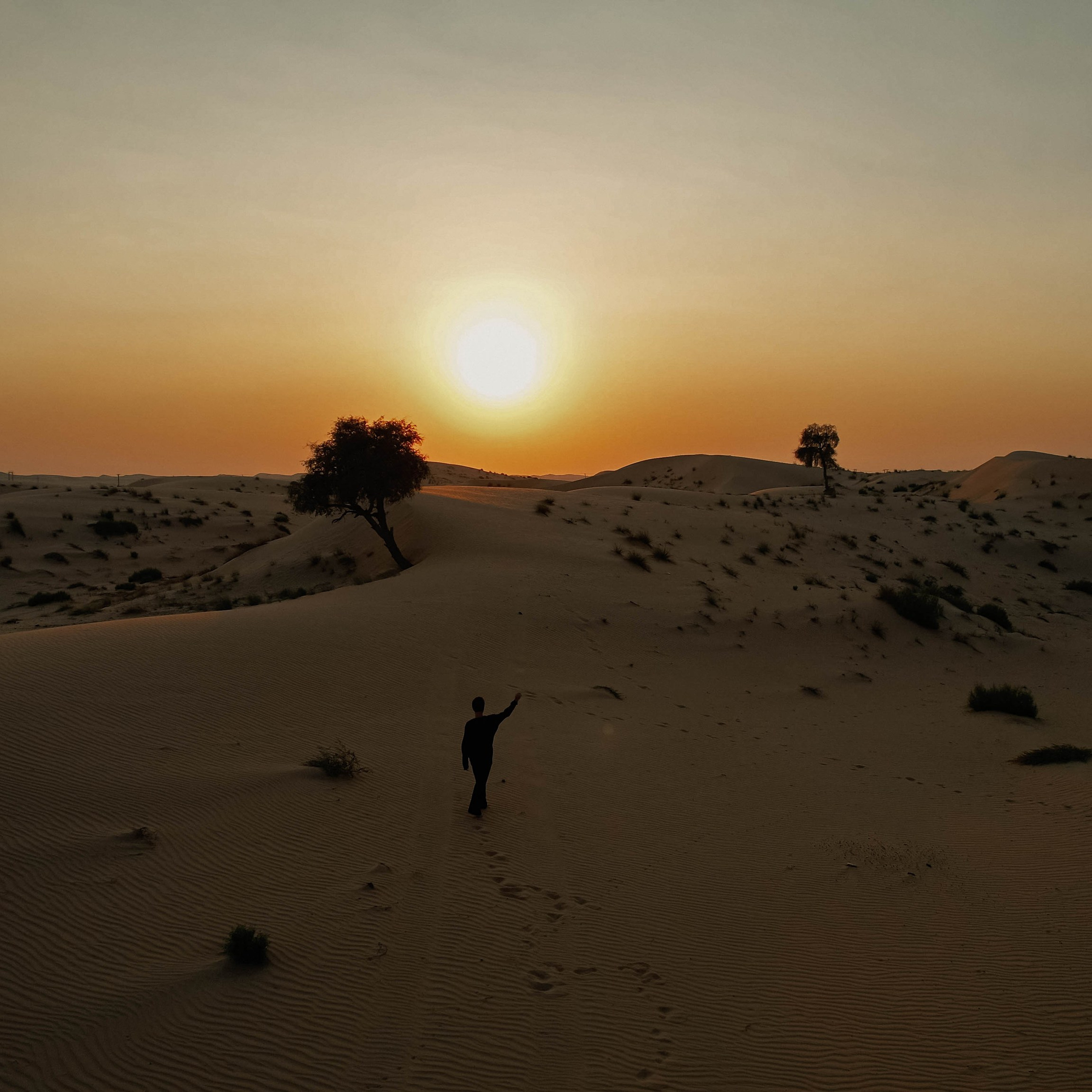 Александр Панайотов Бекстейдж