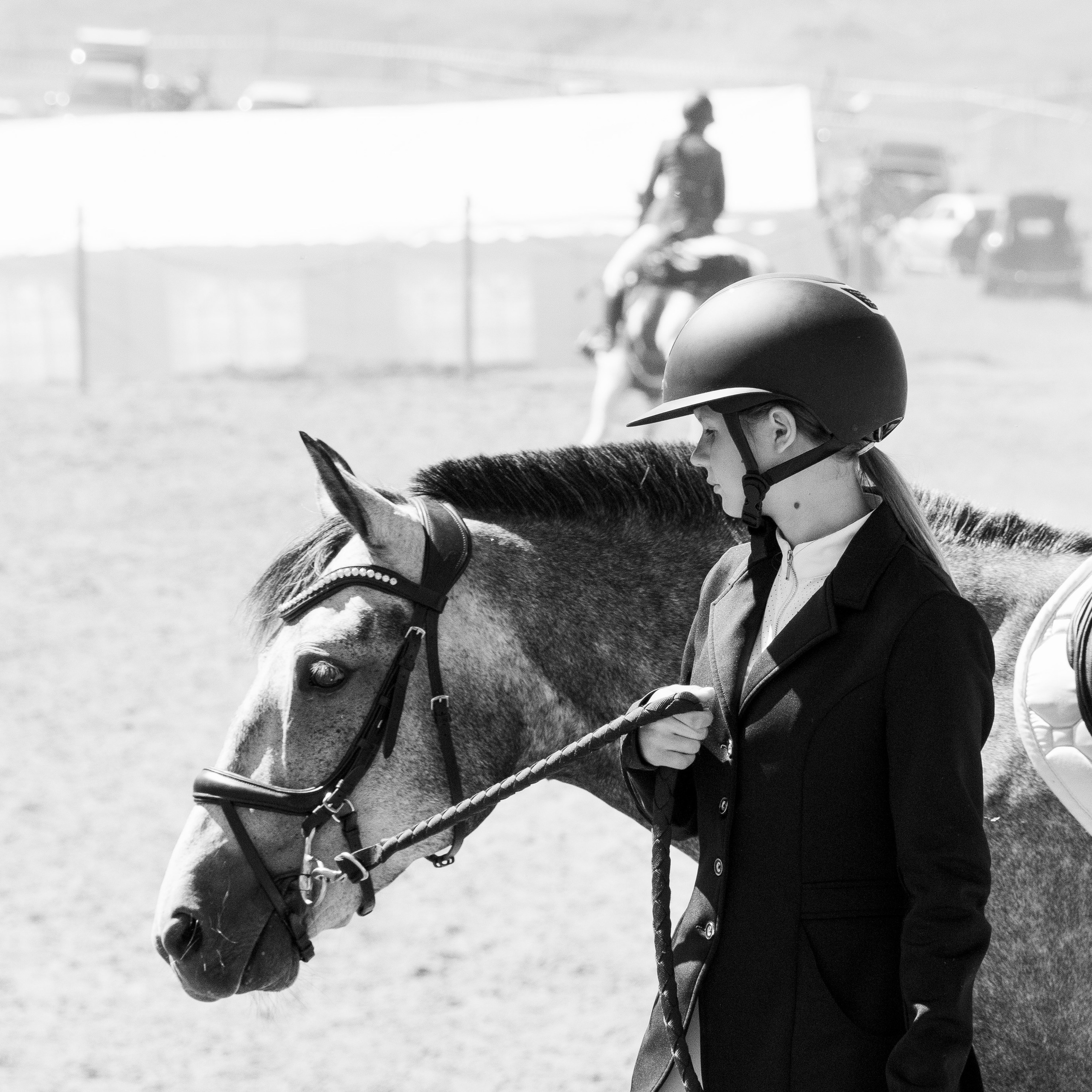 Конь-огонь 2025