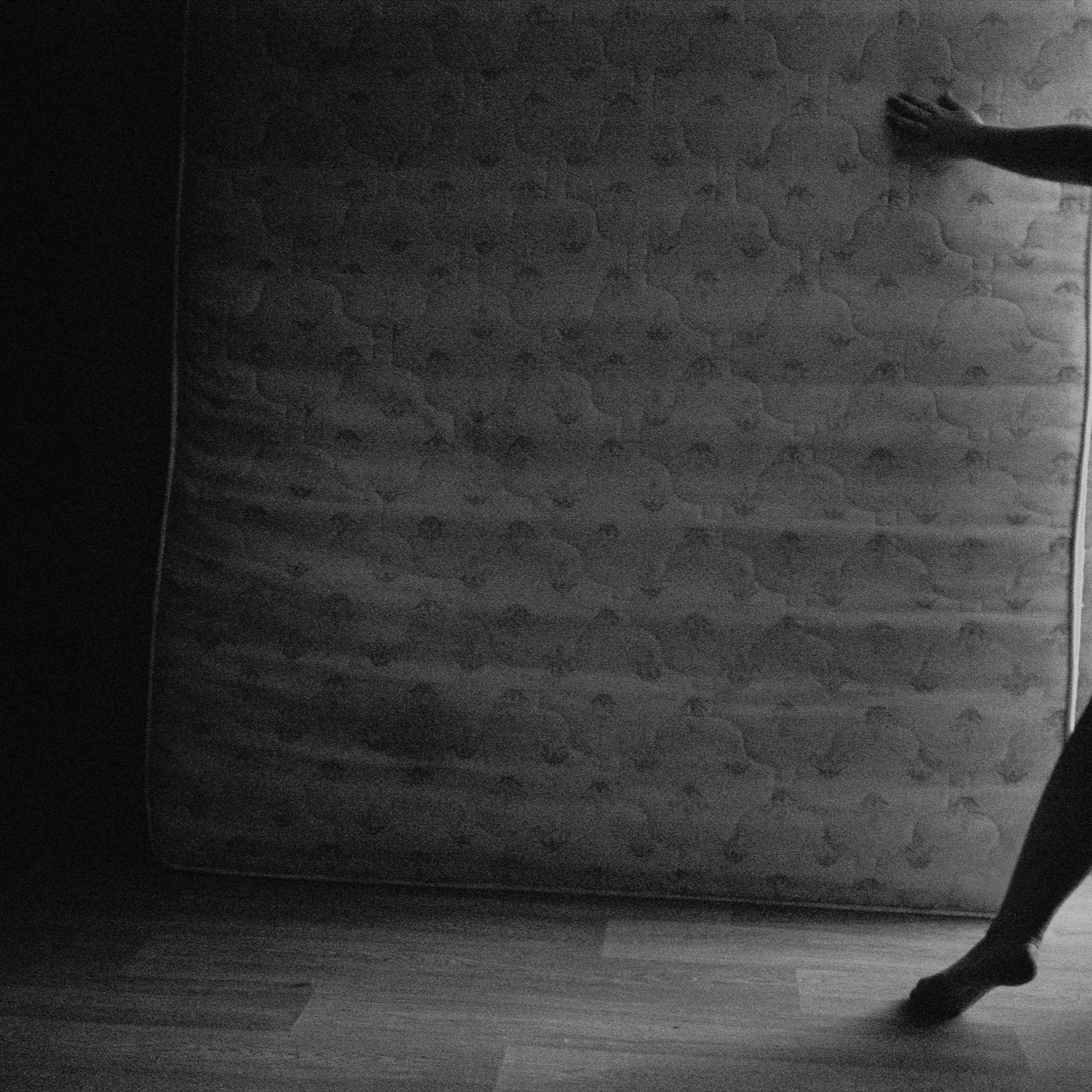 Self-portraits. Anastasia Serova