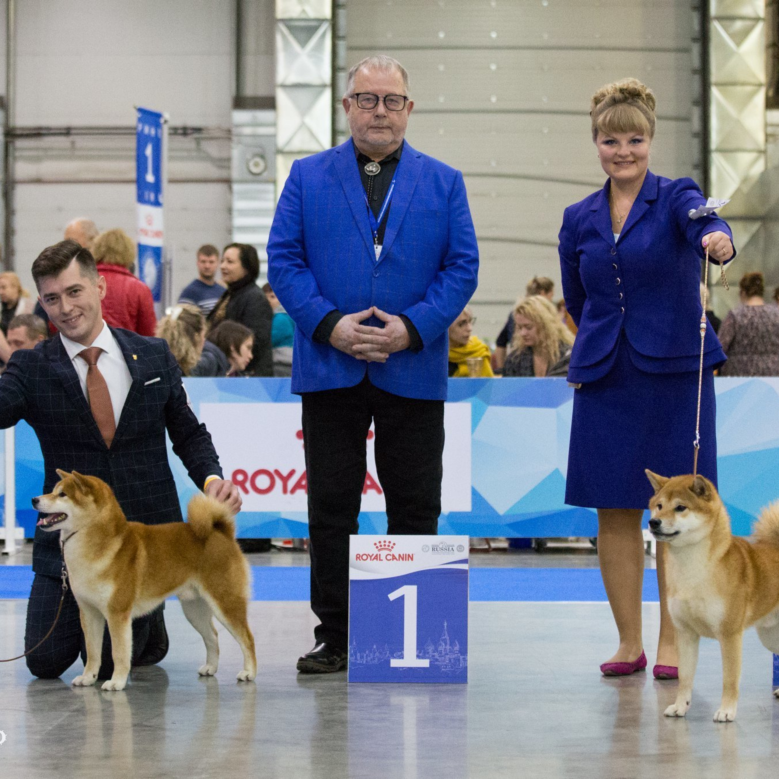 Dog show 2018. SHIOMARU Питомник сиба и акита-ину