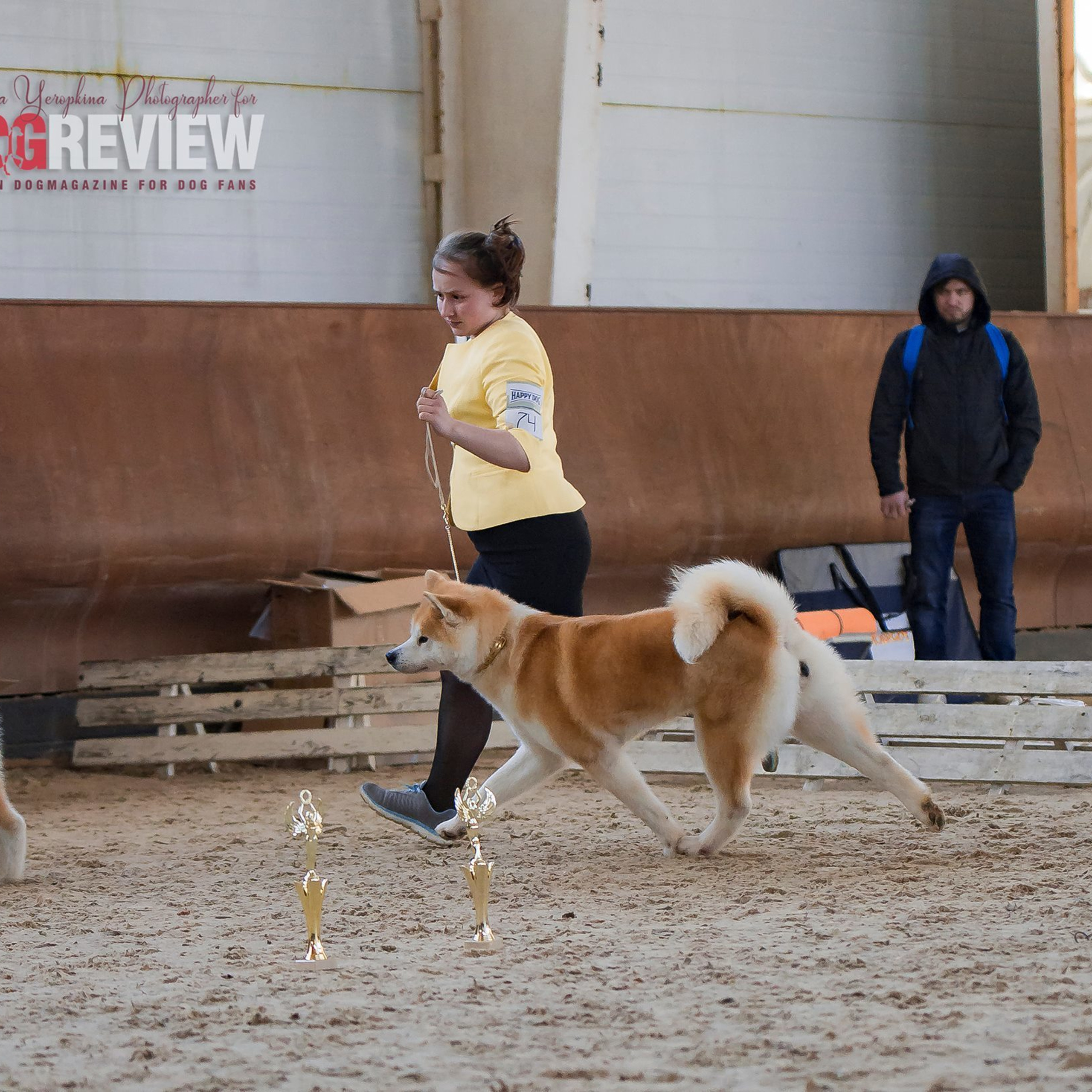 Dog show 2017. SHIOMARU Питомник сиба и акита-ину
