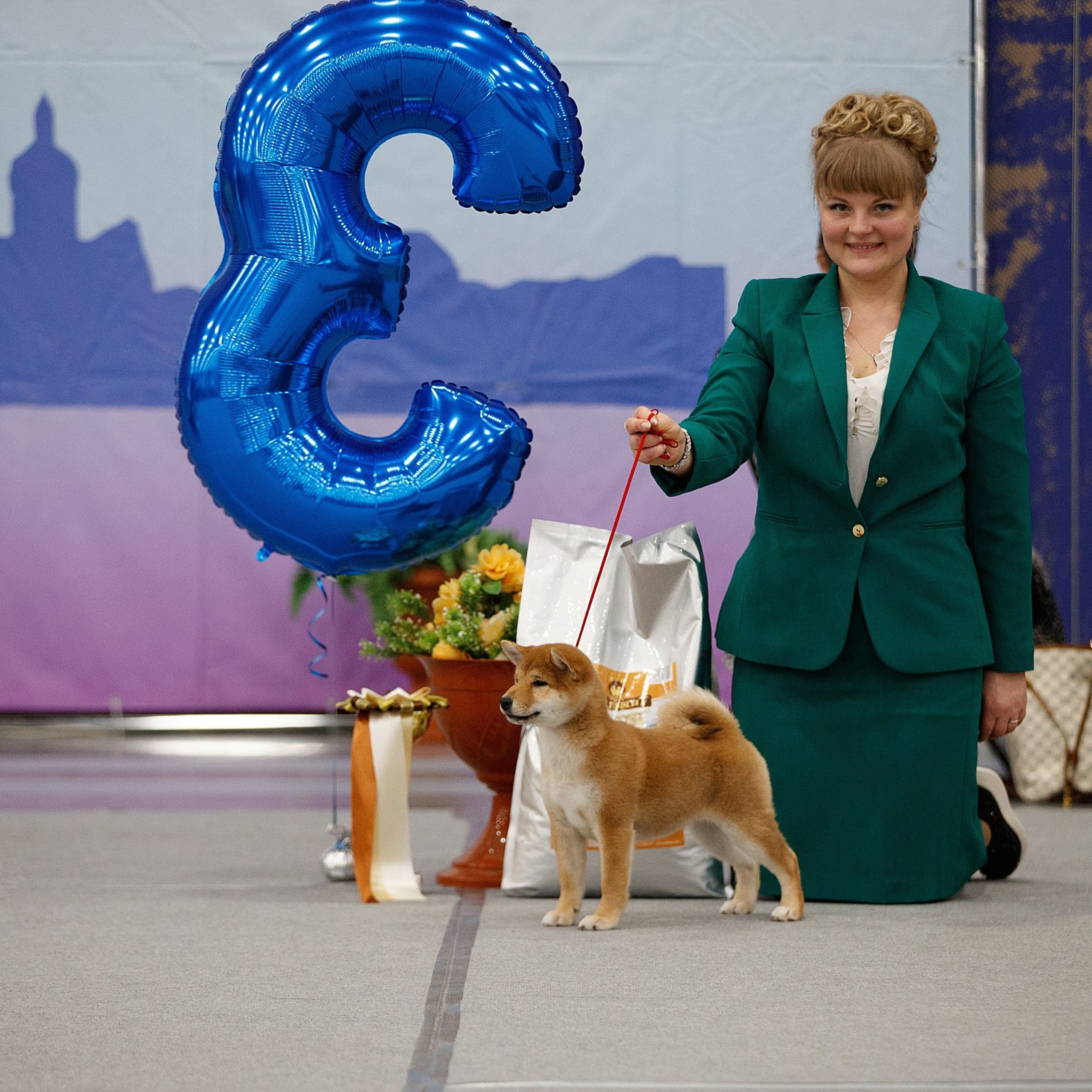 Выпускники питомника. SHIOMARU Питомник сиба и акита-ину