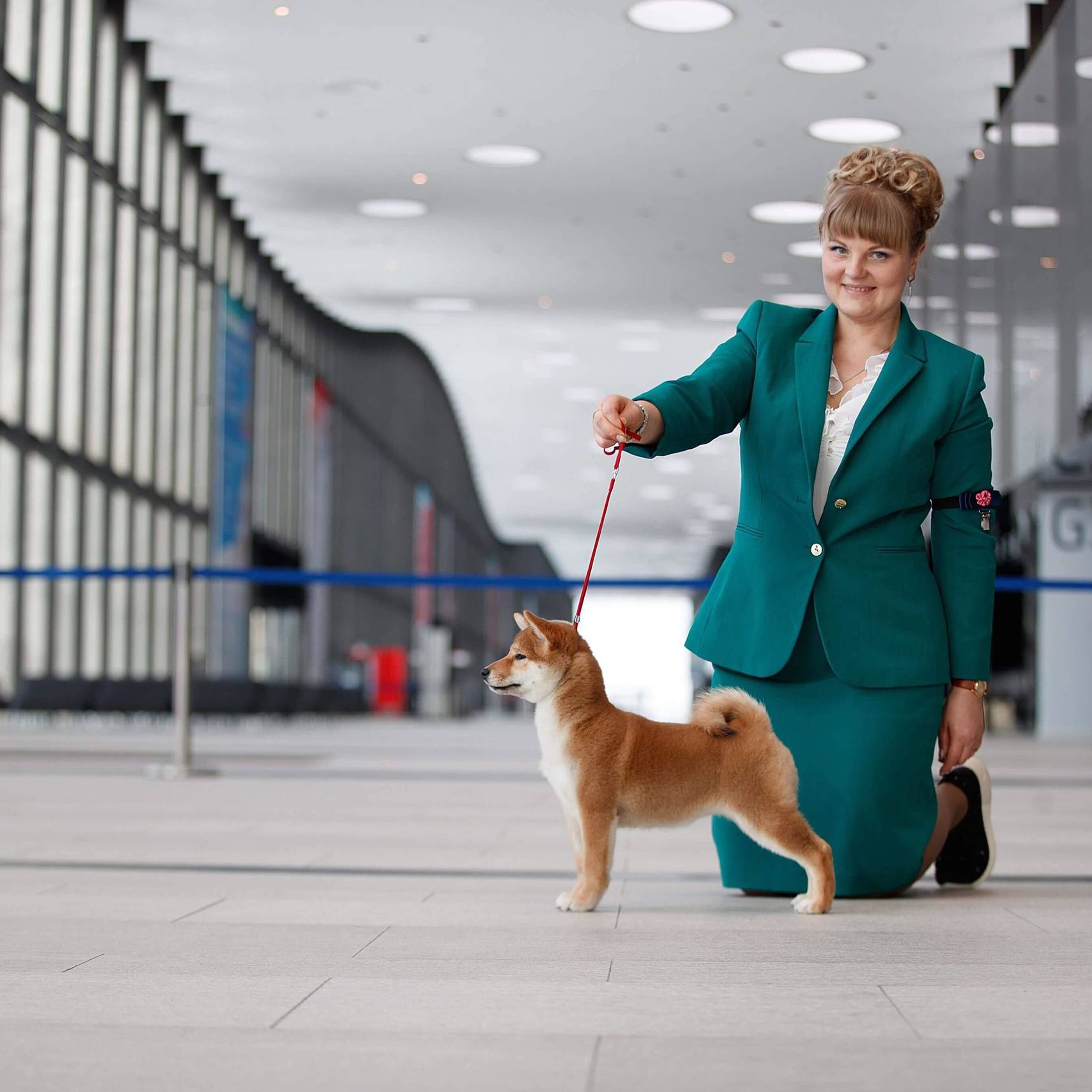 Выпускники питомника. SHIOMARU Питомник сиба и акита-ину