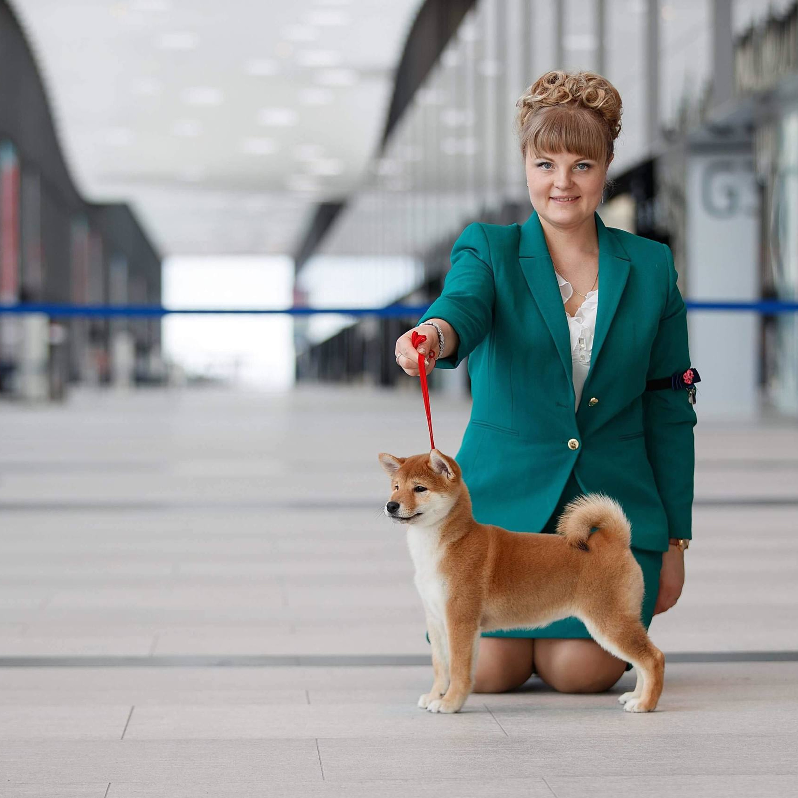 Выпускники питомника. SHIOMARU Питомник сиба и акита-ину