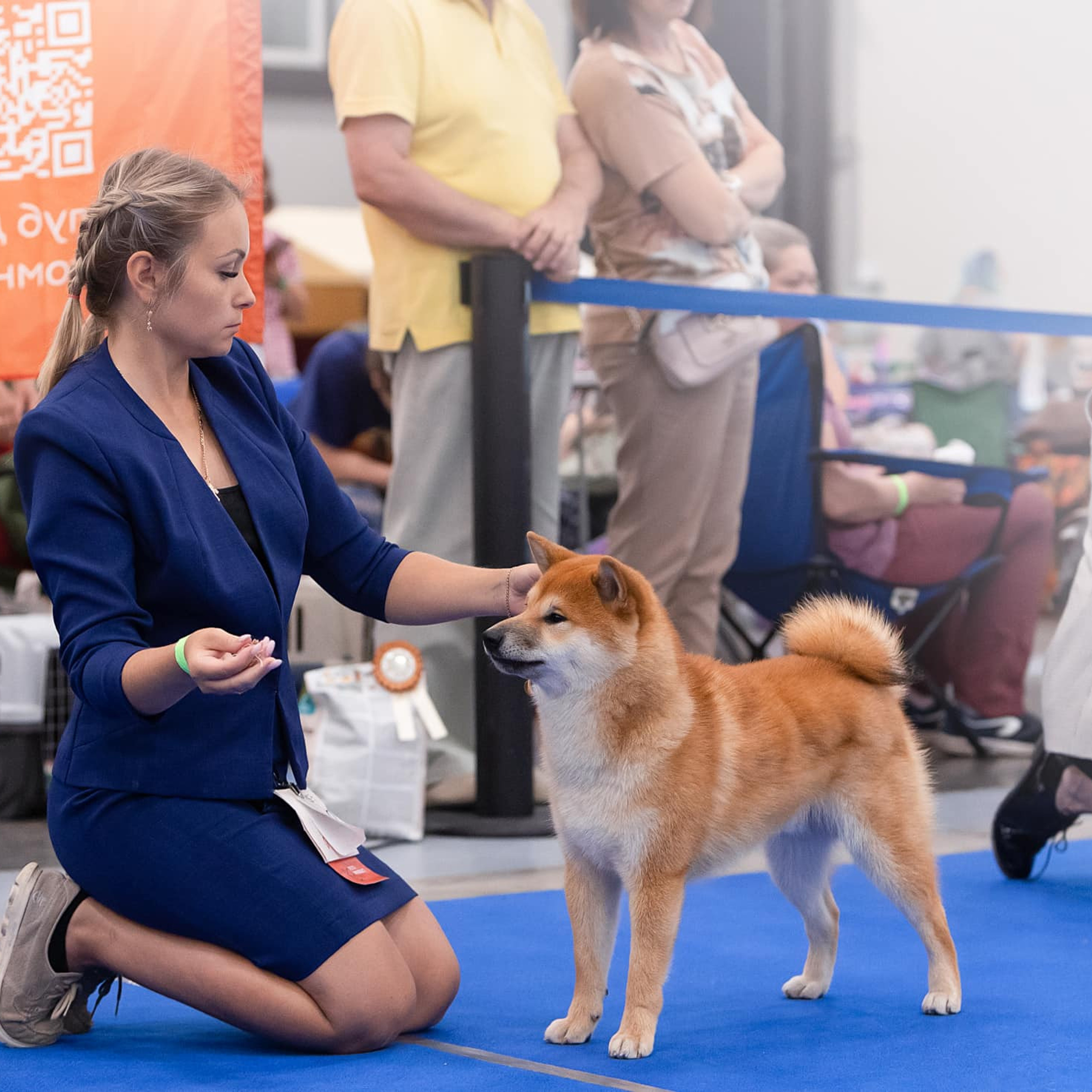 2022. SHIOMARU Питомник сиба и акита-ину