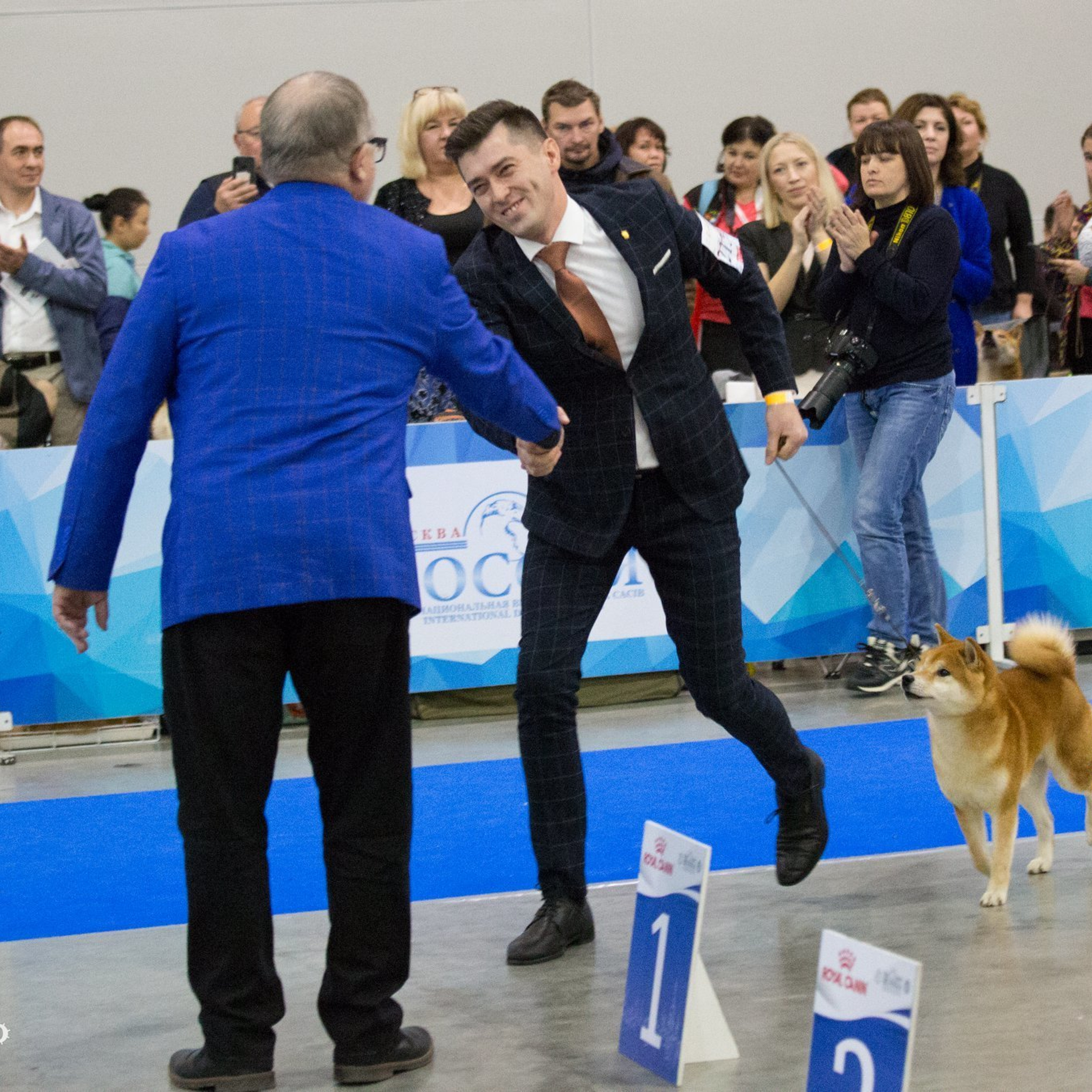 Dog show 2018. SHIOMARU Питомник сиба и акита-ину