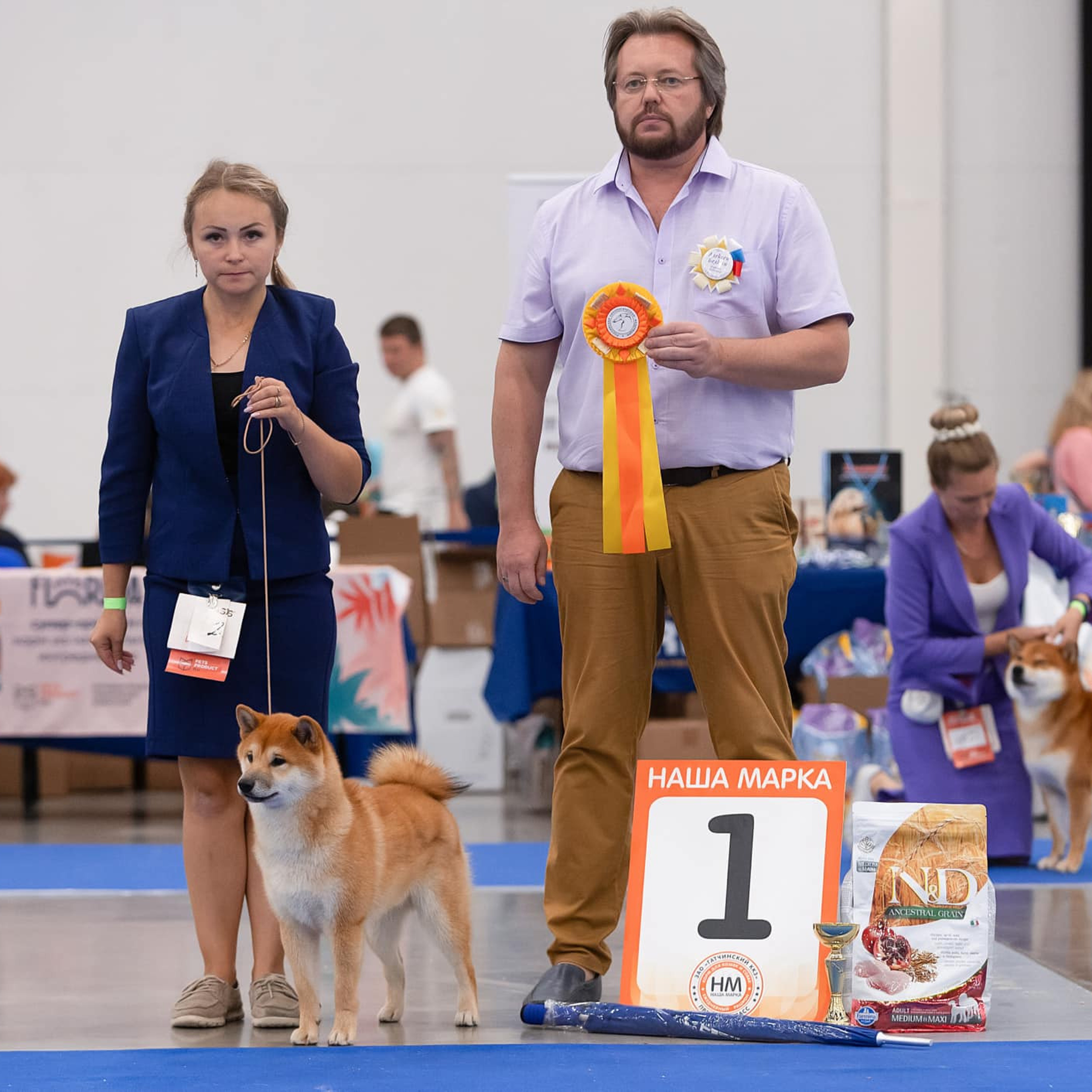 2022. SHIOMARU Питомник сиба и акита-ину