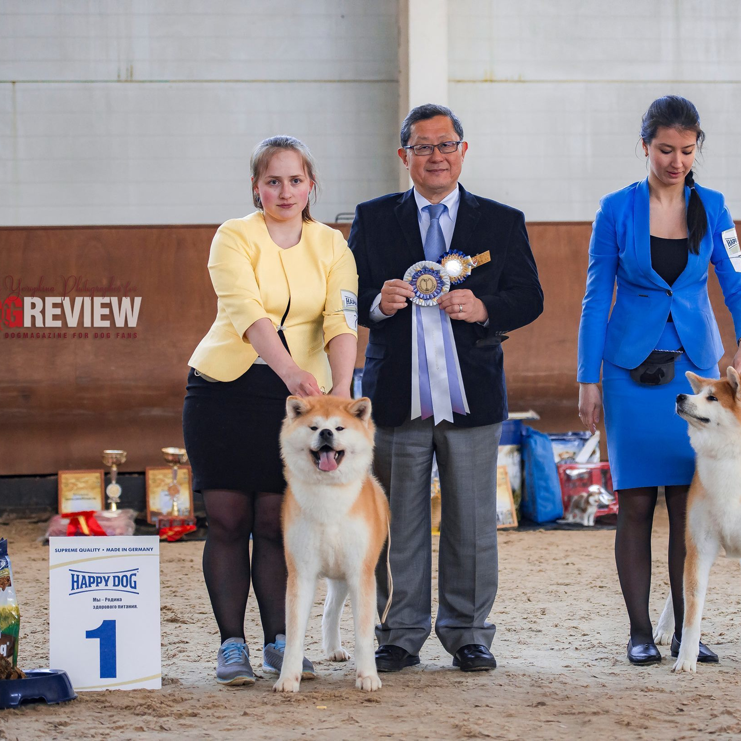 Dog show 2017. SHIOMARU Питомник сиба и акита-ину