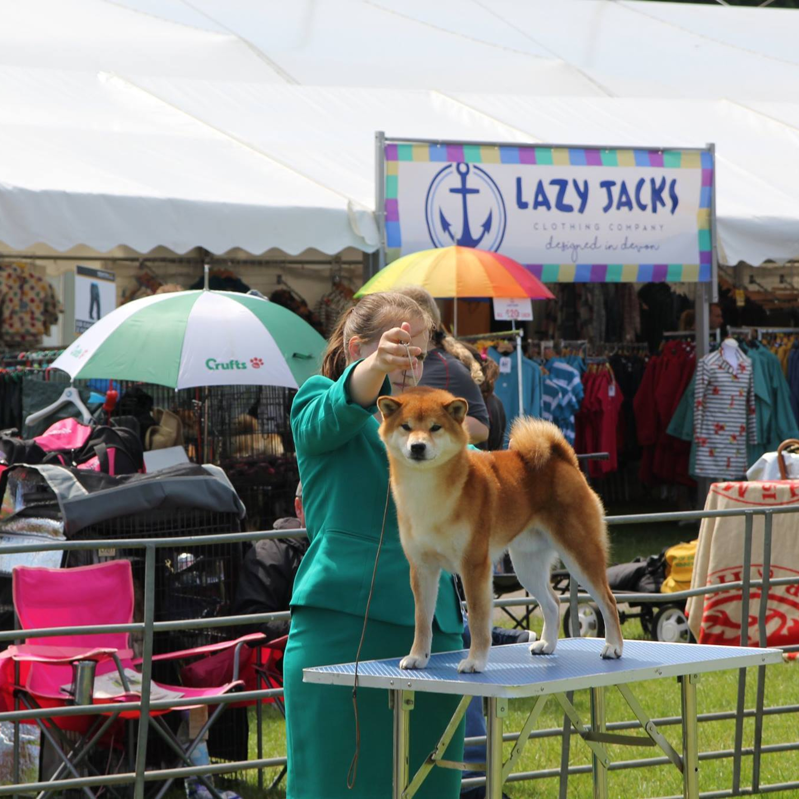 Dog show 2017. SHIOMARU Питомник сиба и акита-ину