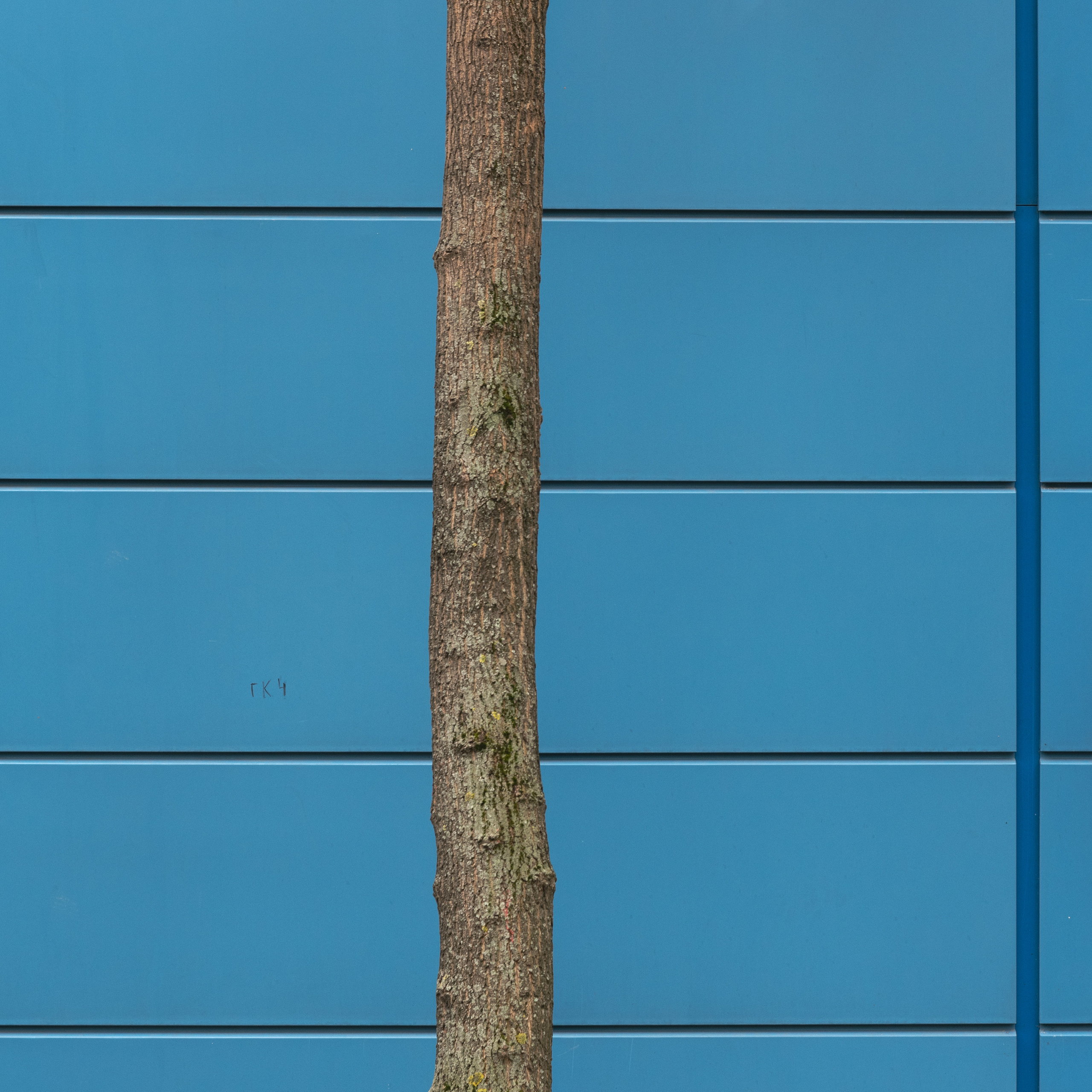 Colors of the city. Арт фотограф Александр Лефлер