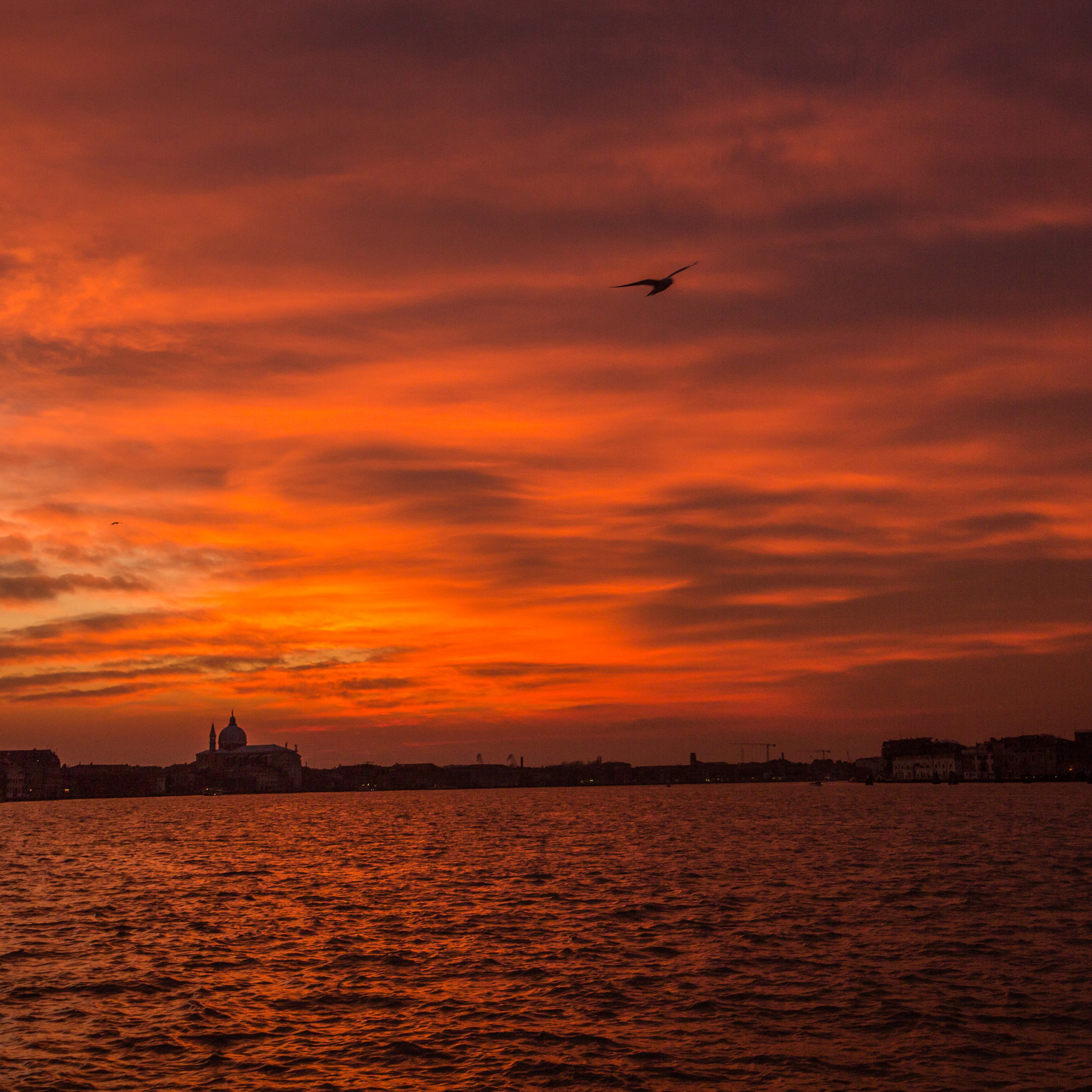 Венеция - моя Любовь. Visual artist, photographer Liana Darenskaya, Moscow