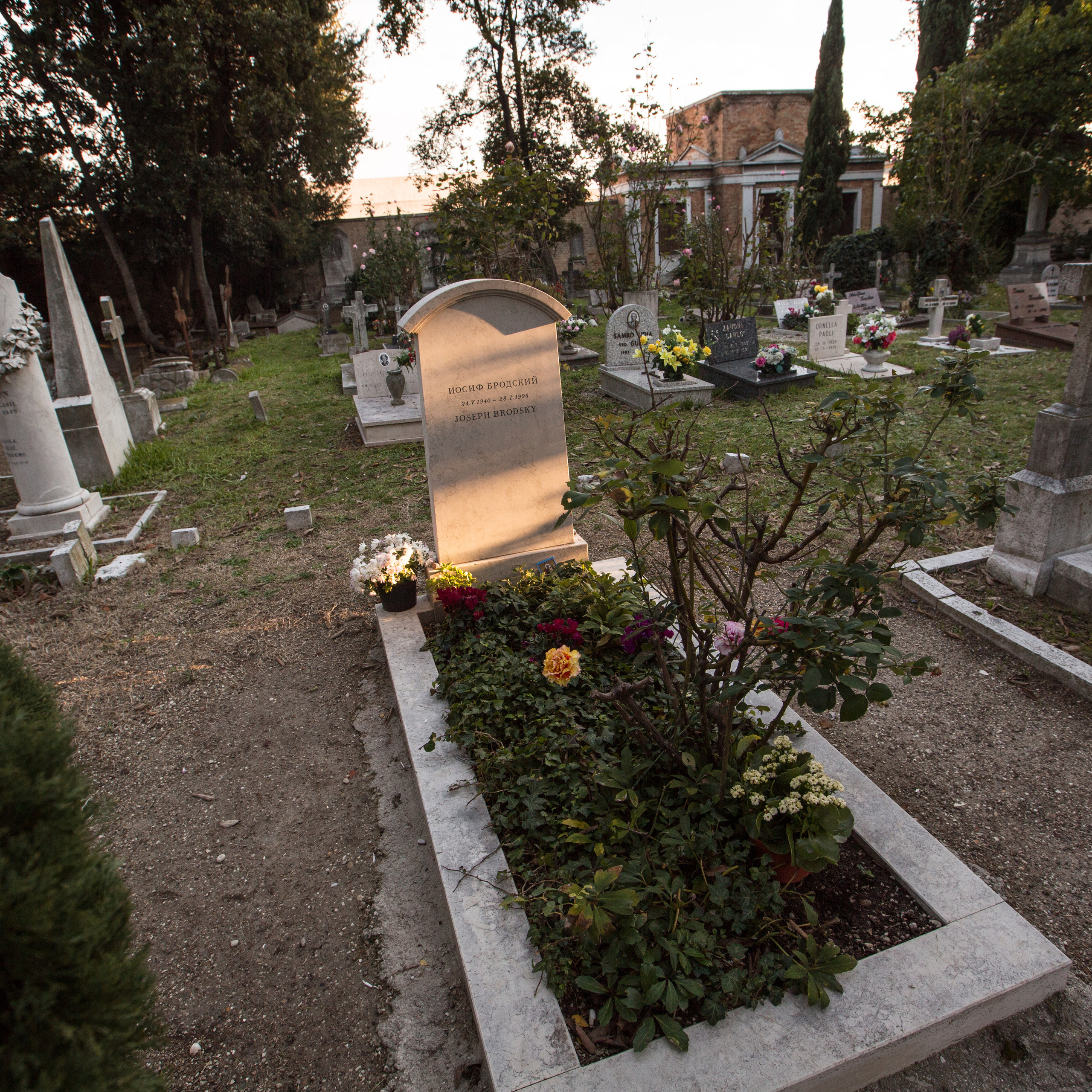 Венеция - моя Любовь. Visual artist, photographer Liana Darenskaya, Moscow