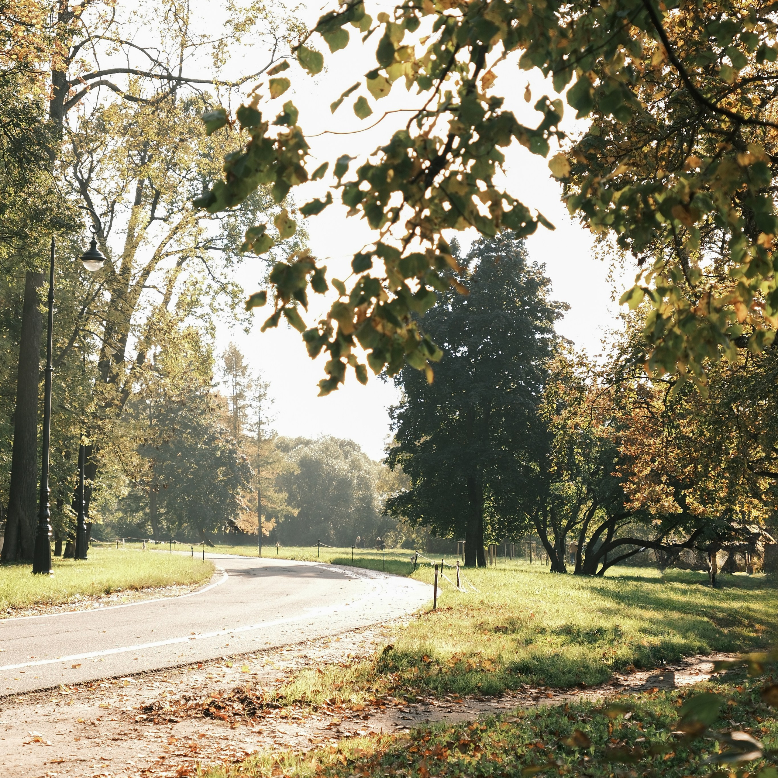 Каменный остров. Ksenzova Veronika photographer
