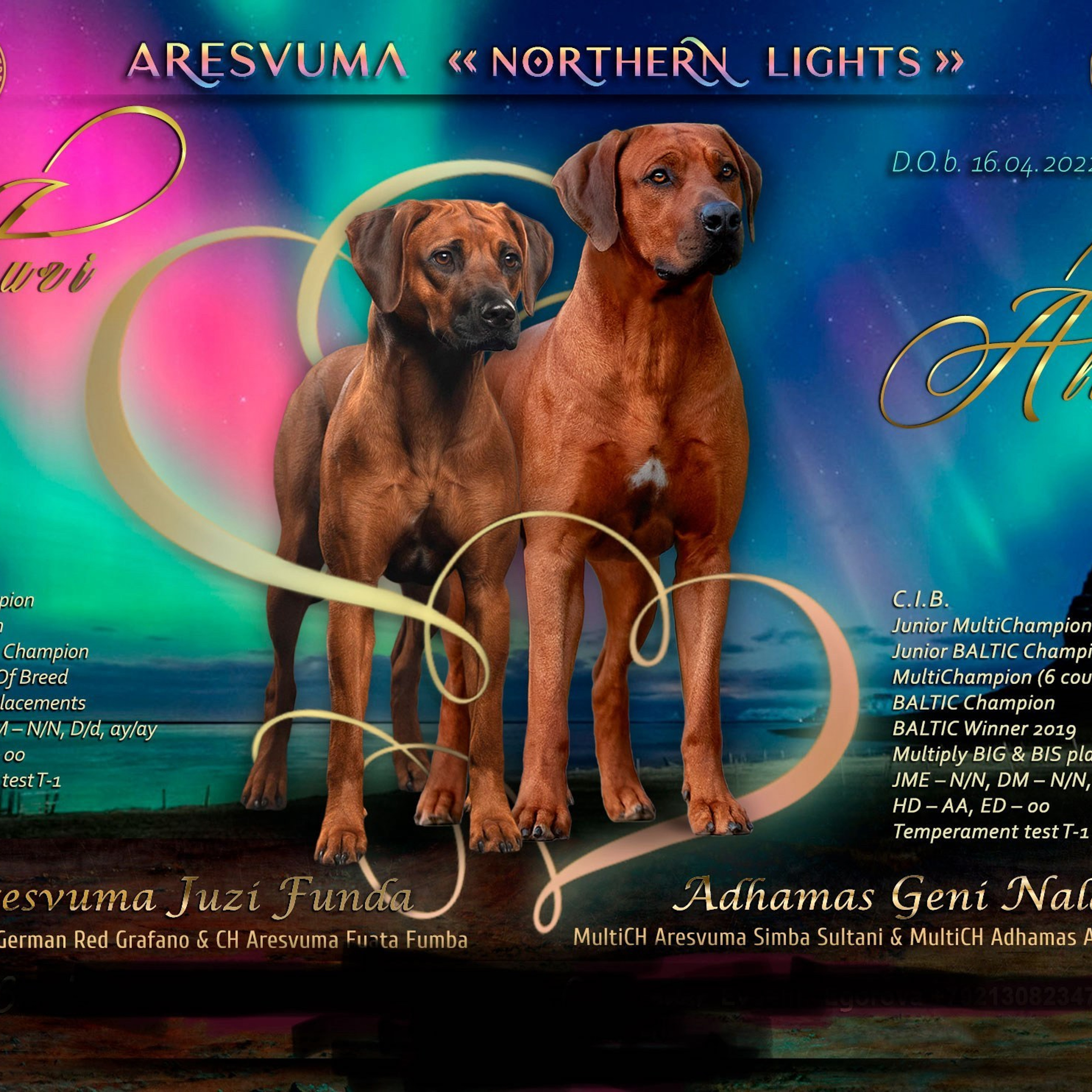 Aresvuma NORTHERN LIGHTS