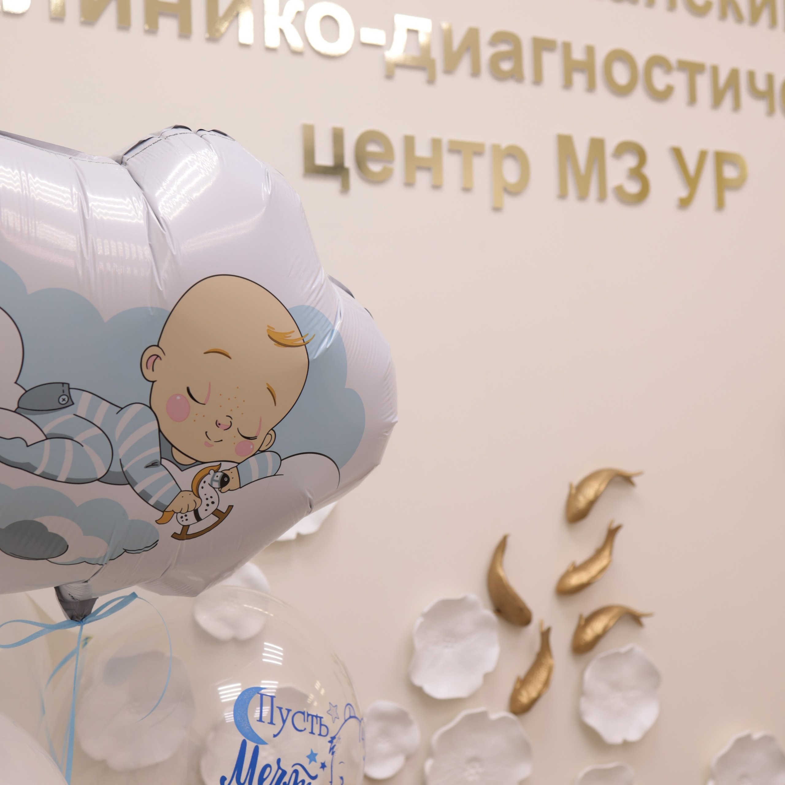 Выписка из роддома. Фотограф новорожденных в Ижевске Анастасия Преснякова