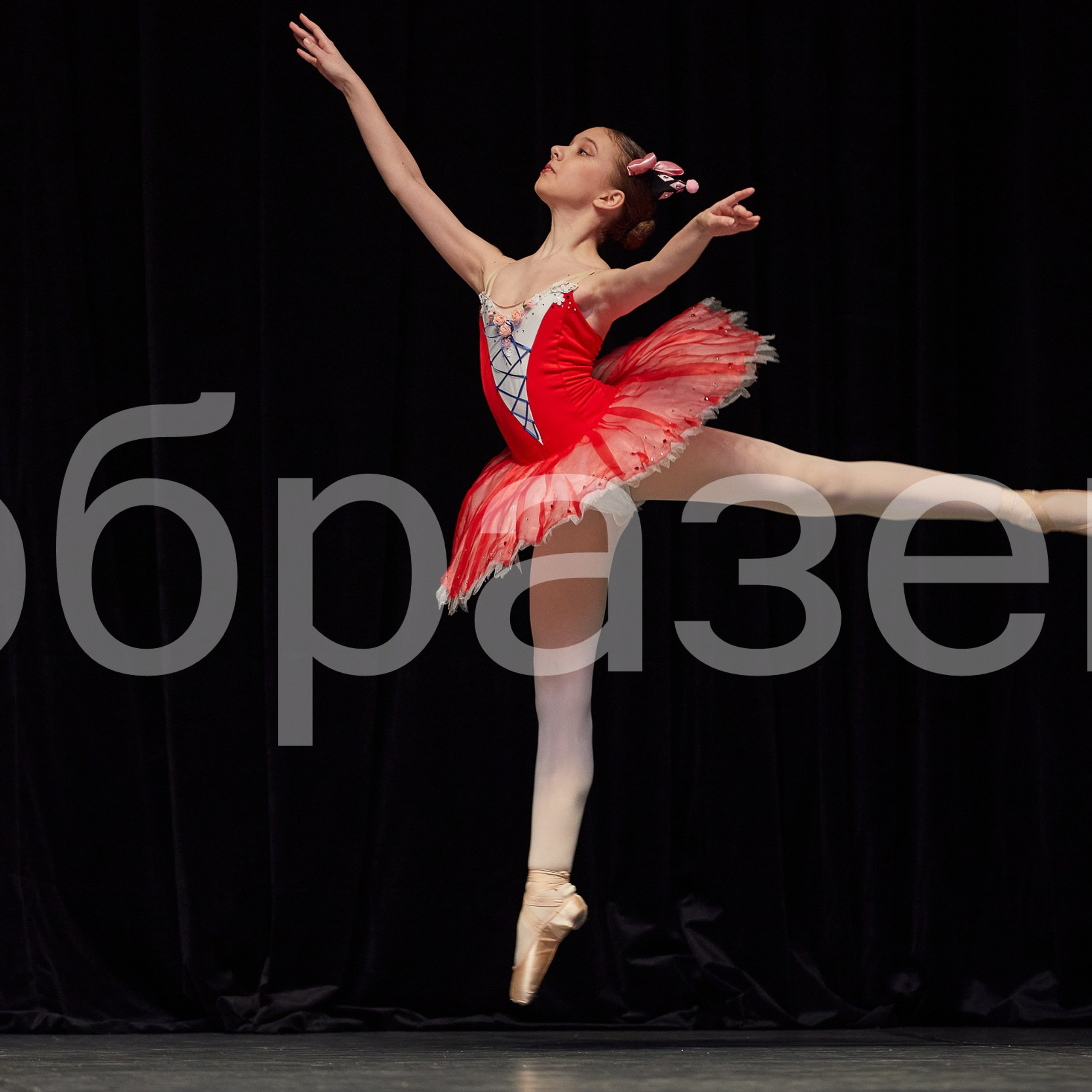 София-Русь фестиваль. Photographer for business Mikhail Semenov. Aqua photo studio, photo school