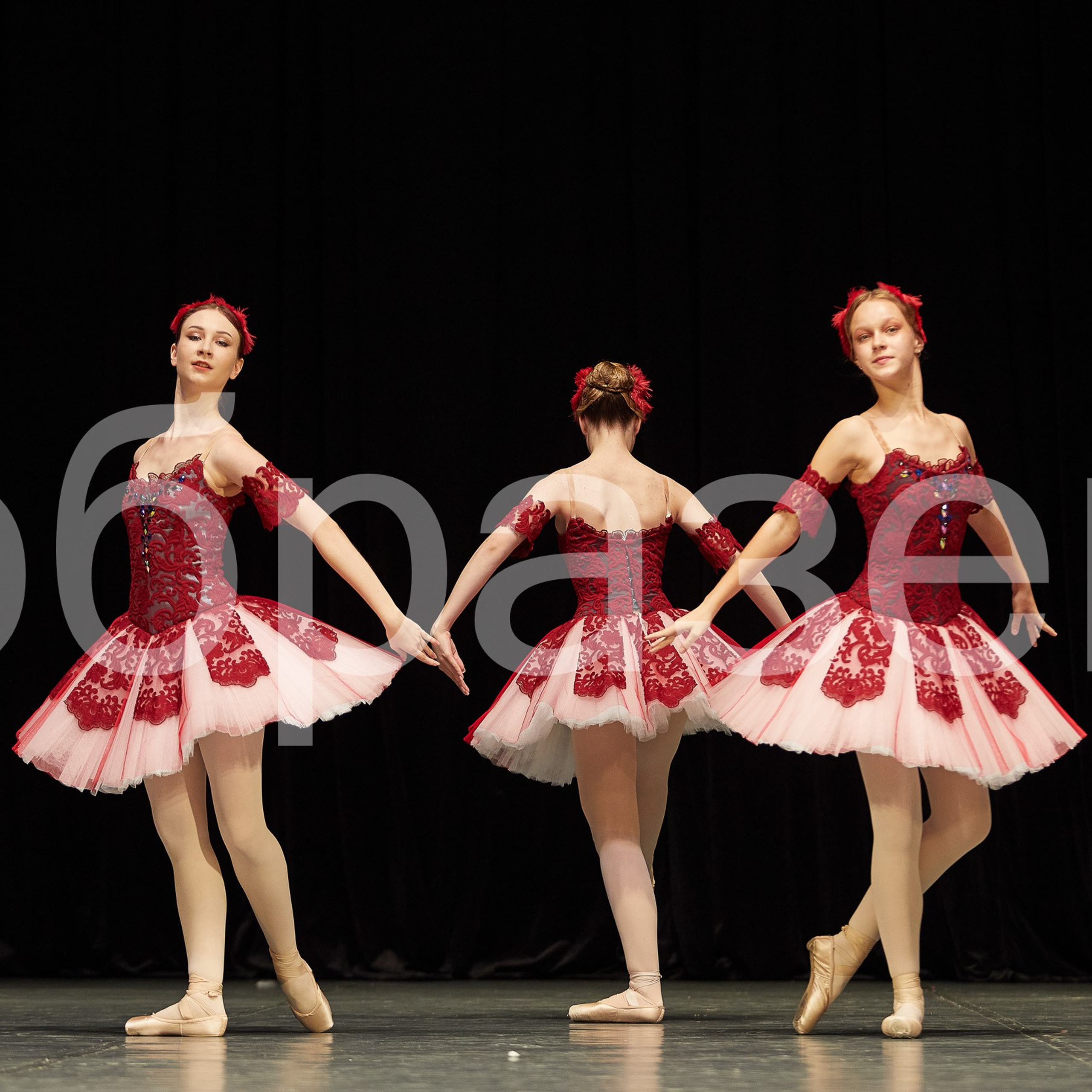 София-Русь фестиваль. Photographer for business Mikhail Semenov. Aqua photo studio, photo school