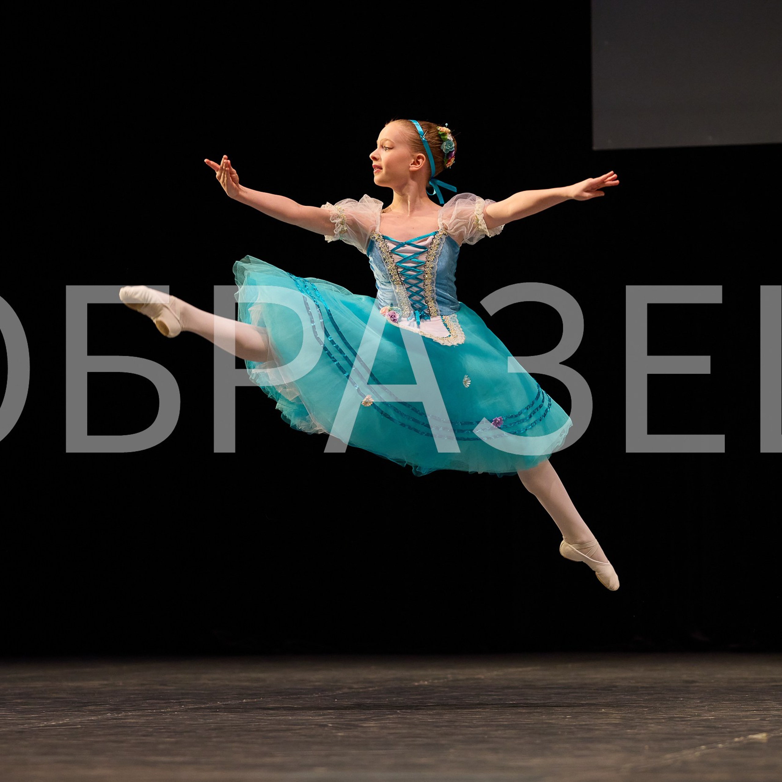 София-Русь фестиваль 2025. Photographer for business Mikhail Semenov. Aqua photo studio, photo school