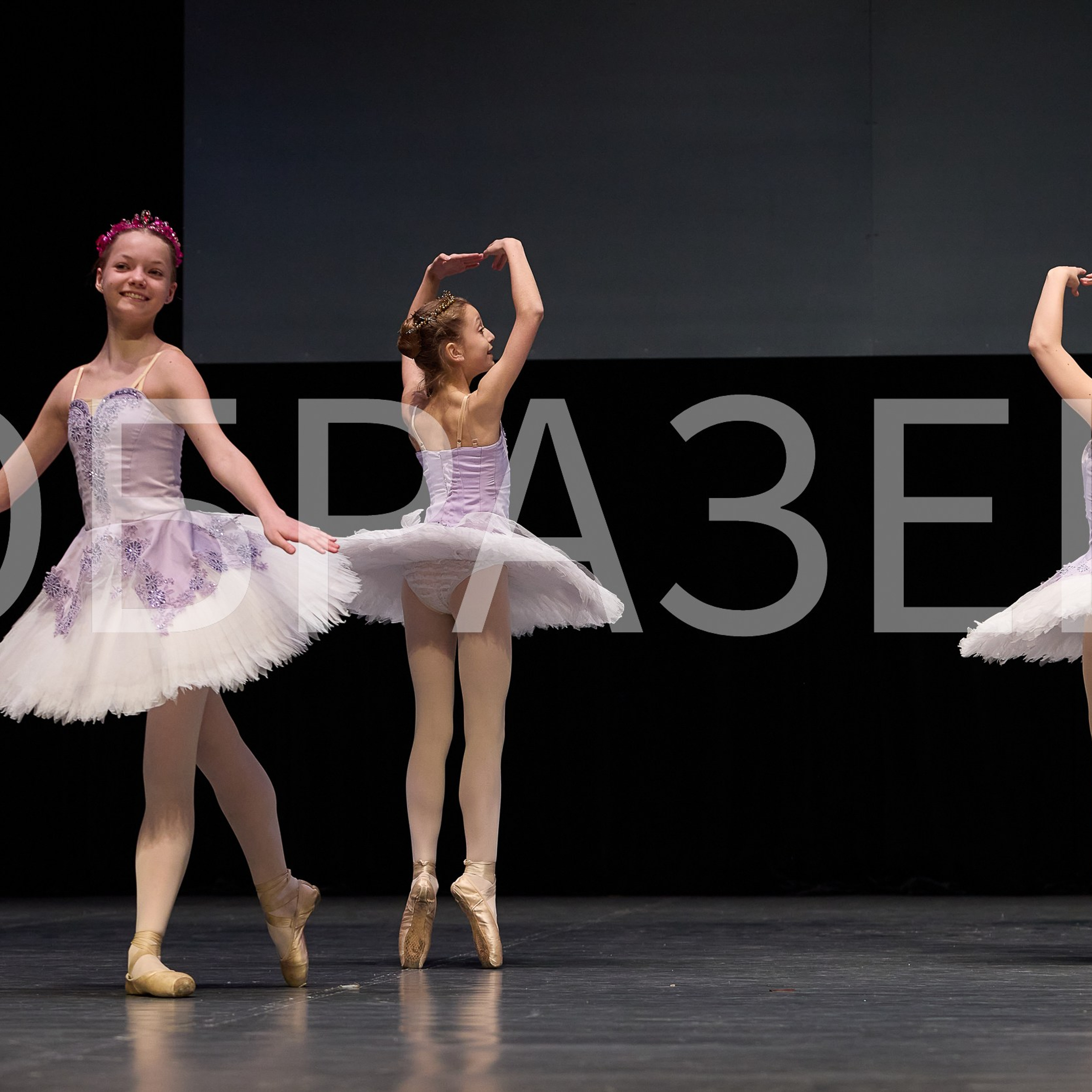 София-Русь фестиваль 2025. Photographer for business Mikhail Semenov. Aqua photo studio, photo school