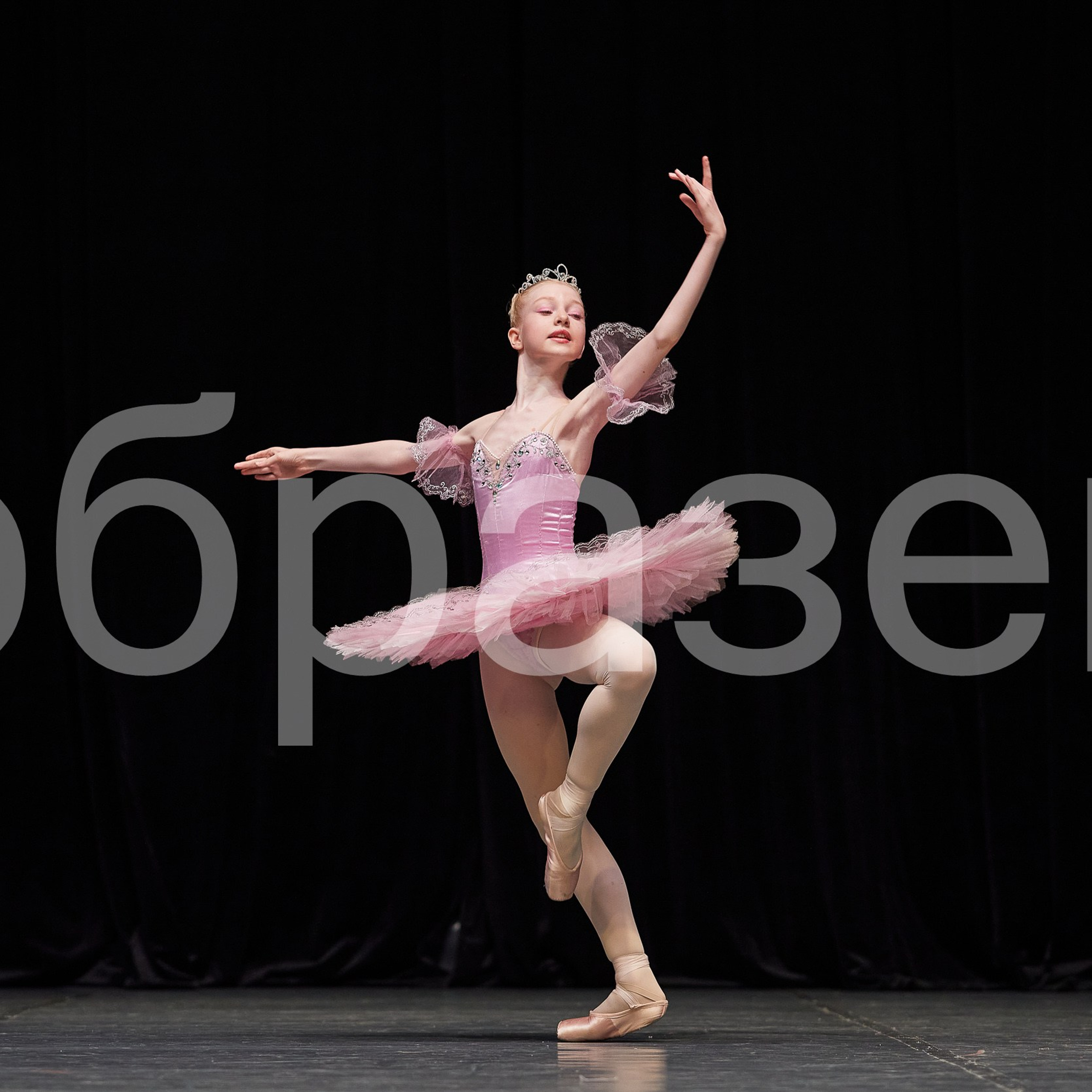 София-Русь фестиваль. Photographer for business Mikhail Semenov. Aqua photo studio, photo school