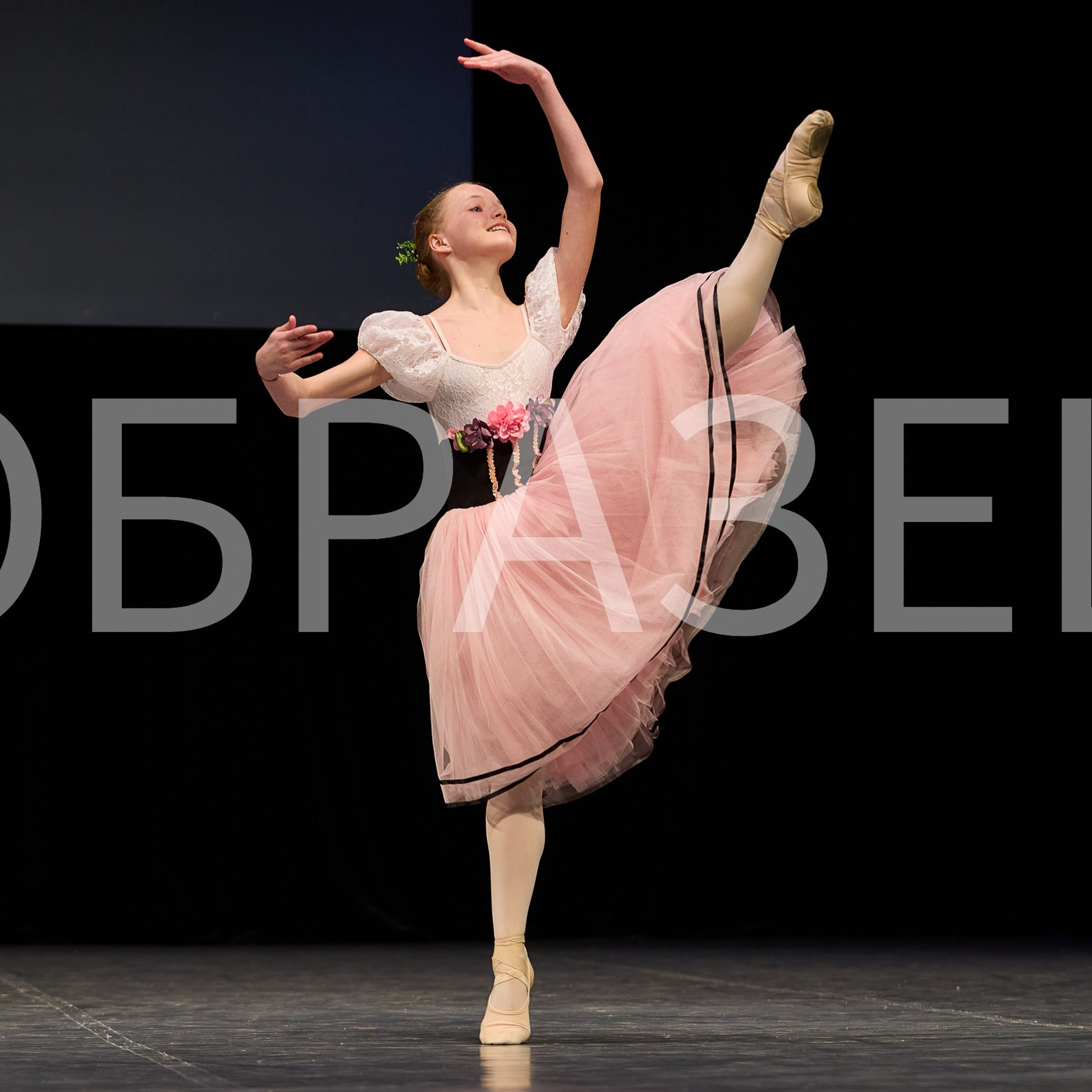 София-Русь фестиваль 2025. Photographer for business Mikhail Semenov. Aqua photo studio, photo school