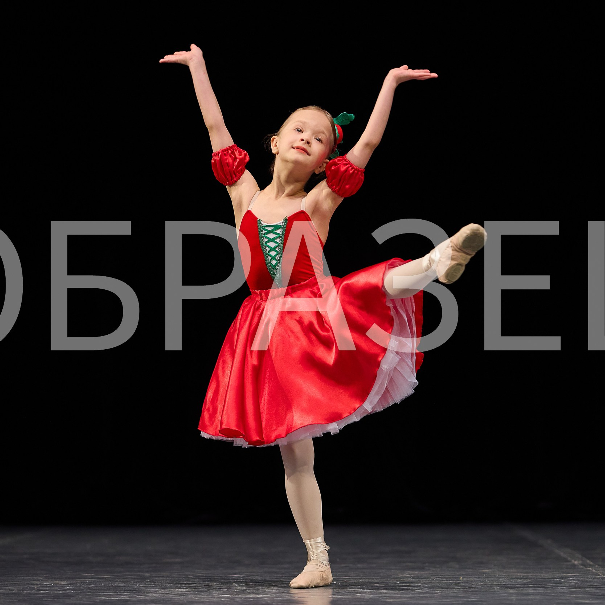 София-Русь фестиваль 2025. Photographer for business Mikhail Semenov. Aqua photo studio, photo school