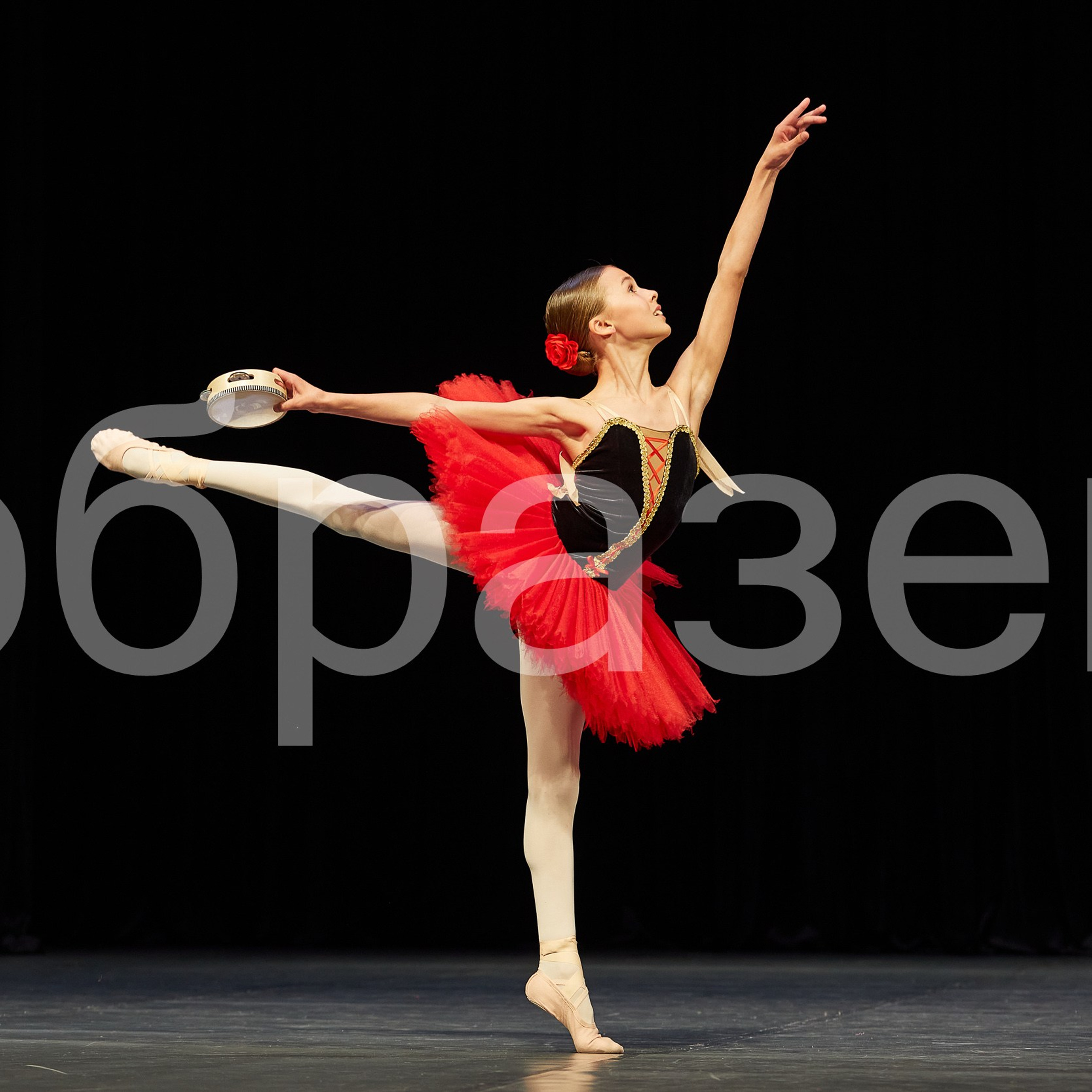 София-Русь фестиваль. Photographer for business Mikhail Semenov. Aqua photo studio, photo school