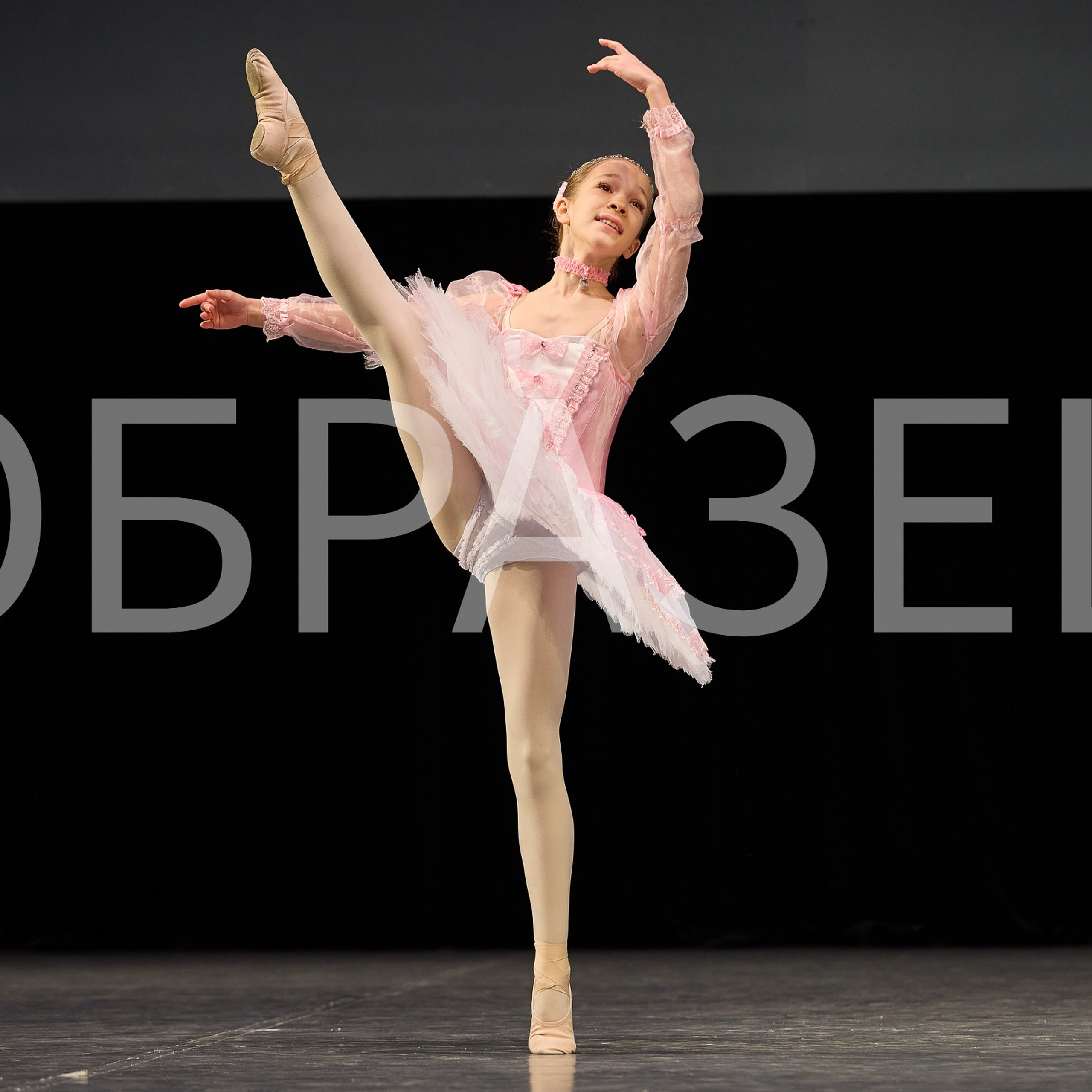 София-Русь фестиваль 2025. Photographer for business Mikhail Semenov. Aqua photo studio, photo school