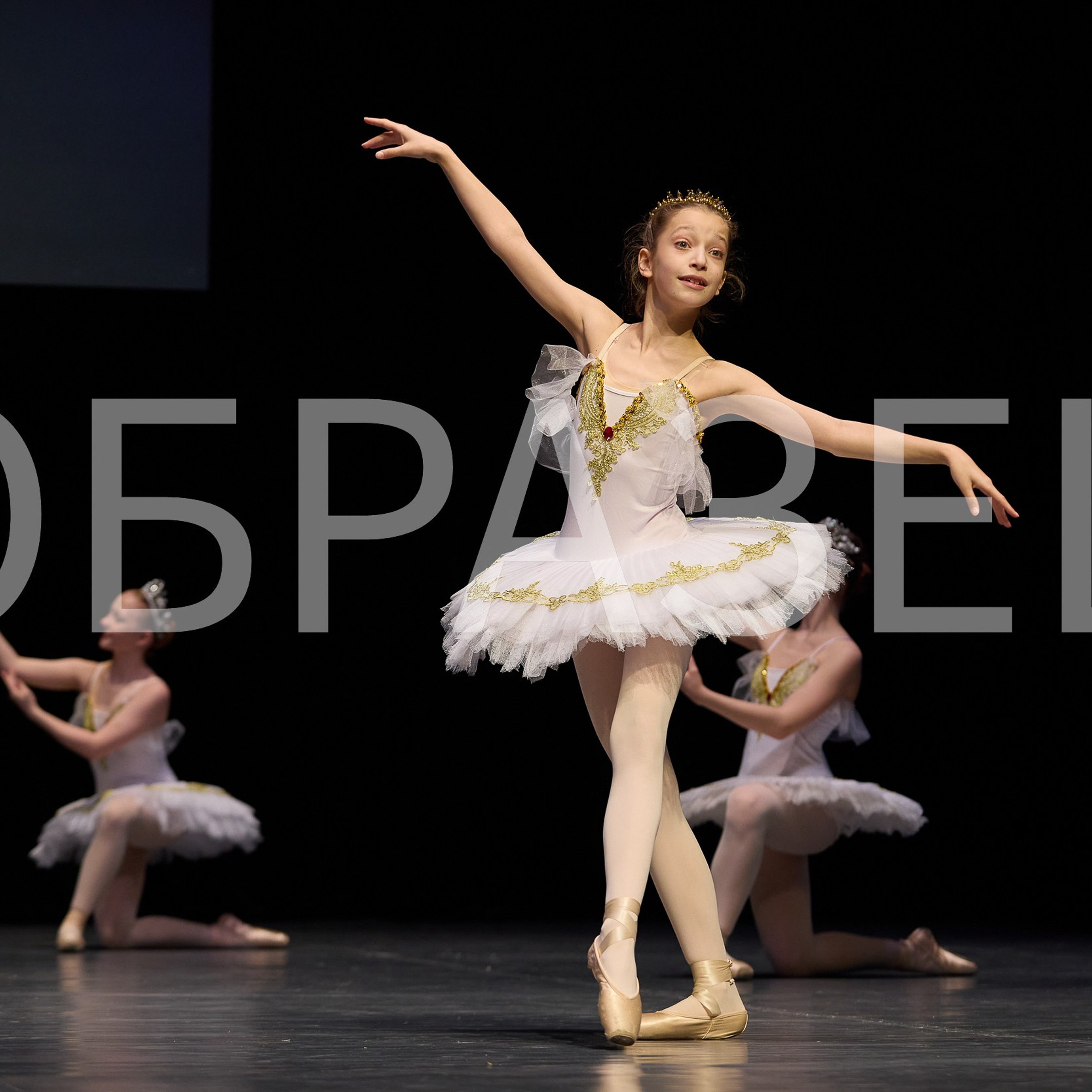 София-Русь фестиваль 2025. Photographer for business Mikhail Semenov. Aqua photo studio, photo school