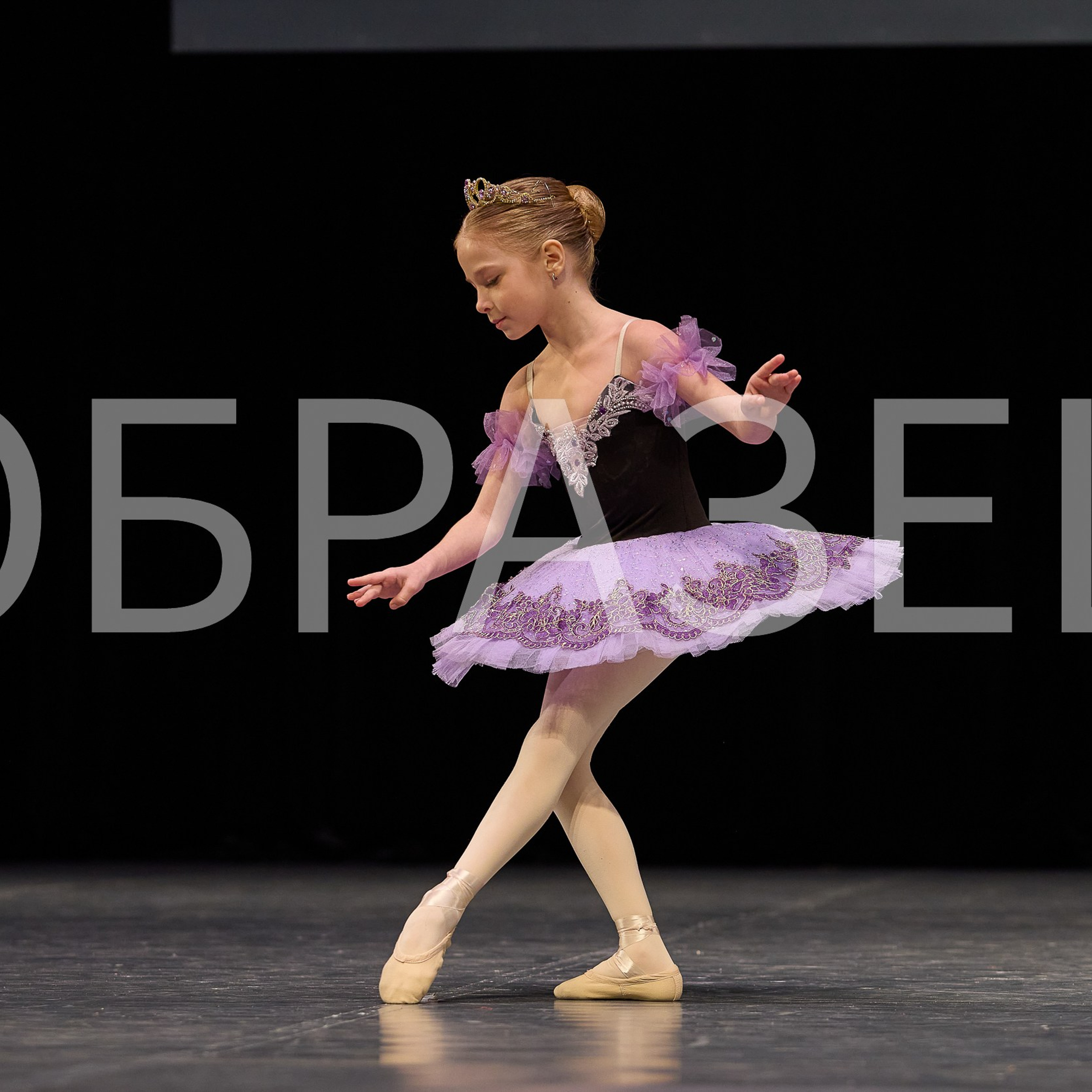 София-Русь фестиваль 2025. Photographer for business Mikhail Semenov. Aqua photo studio, photo school