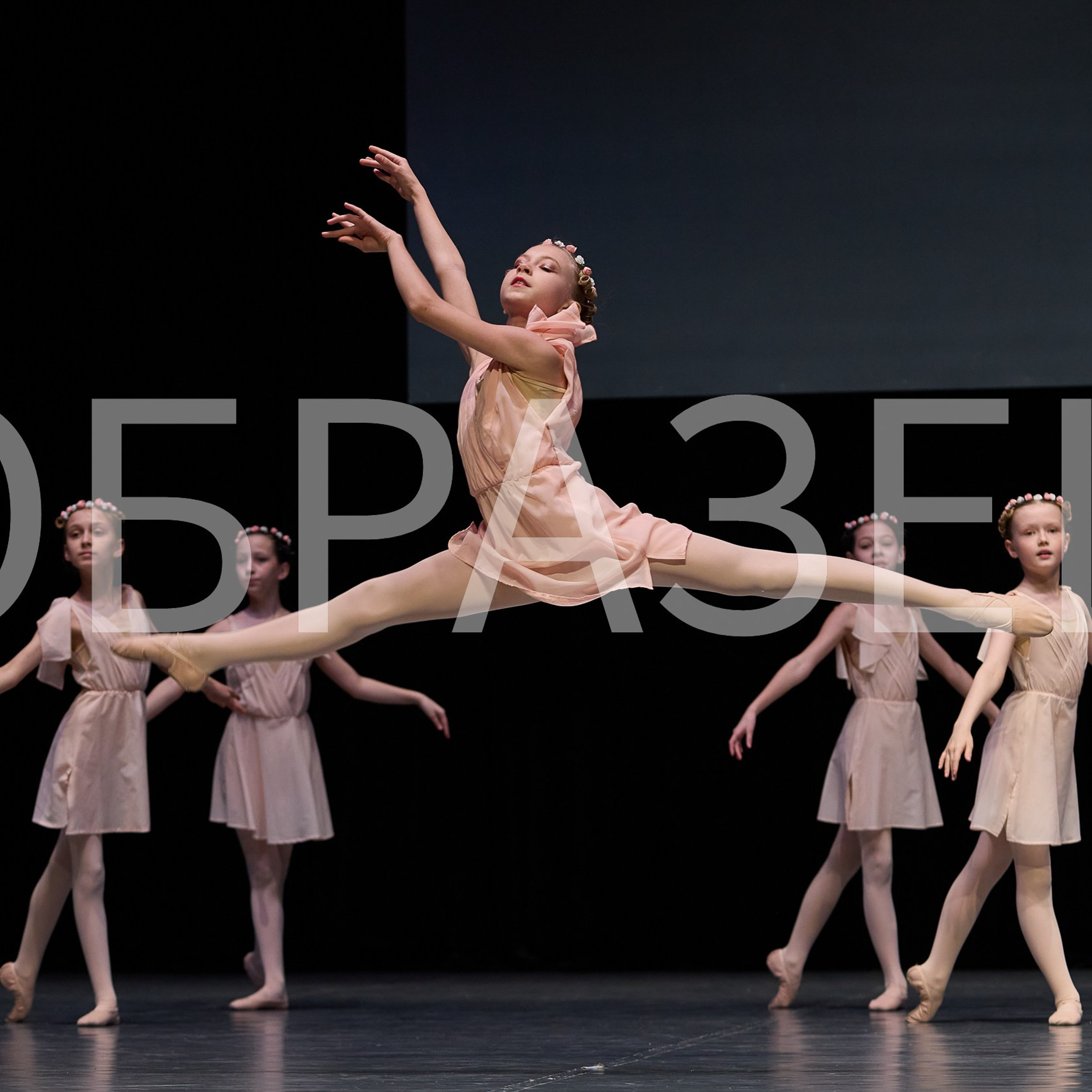 София-Русь фестиваль 2025. Photographer for business Mikhail Semenov. Aqua photo studio, photo school