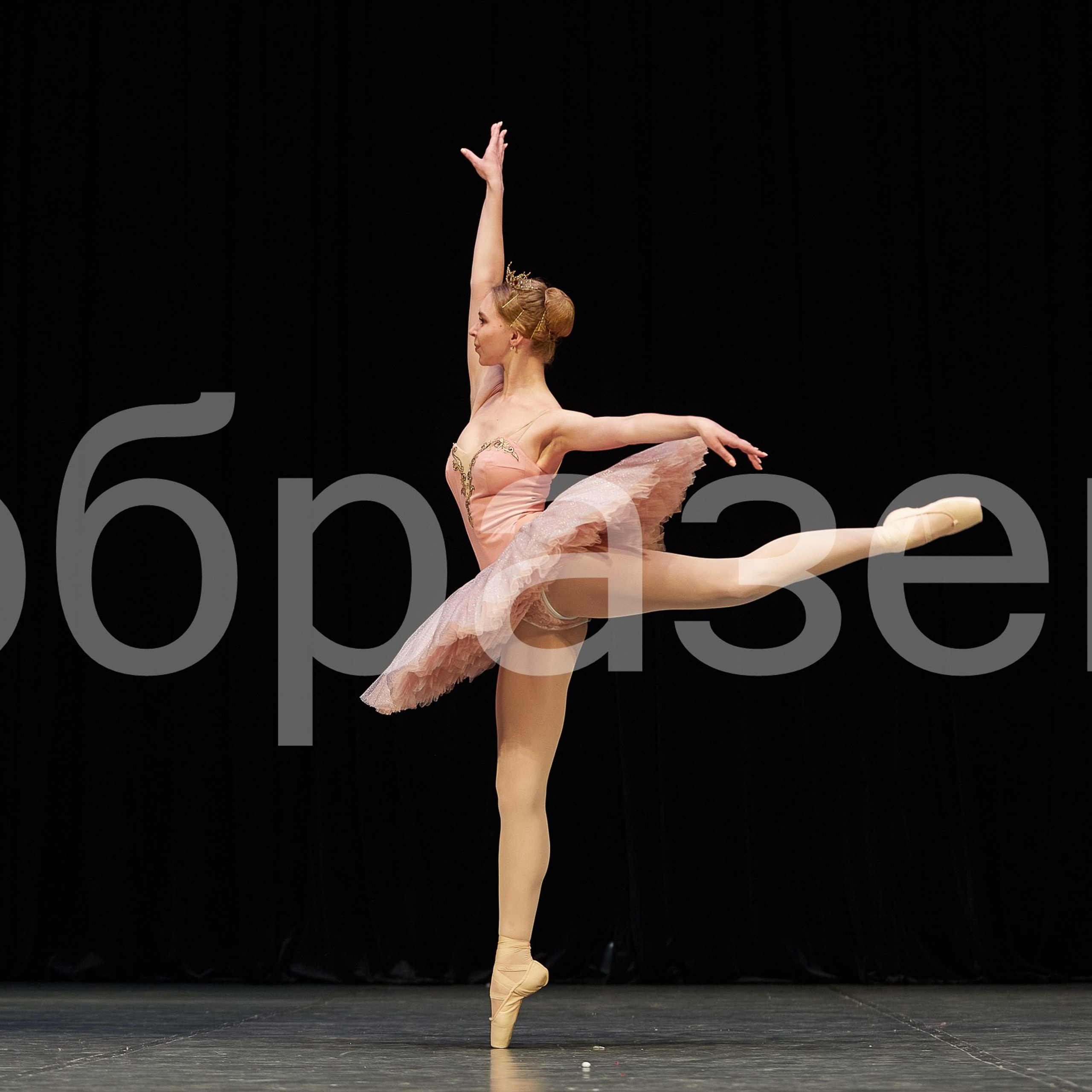 София-Русь фестиваль. Photographer for business Mikhail Semenov. Aqua photo studio, photo school