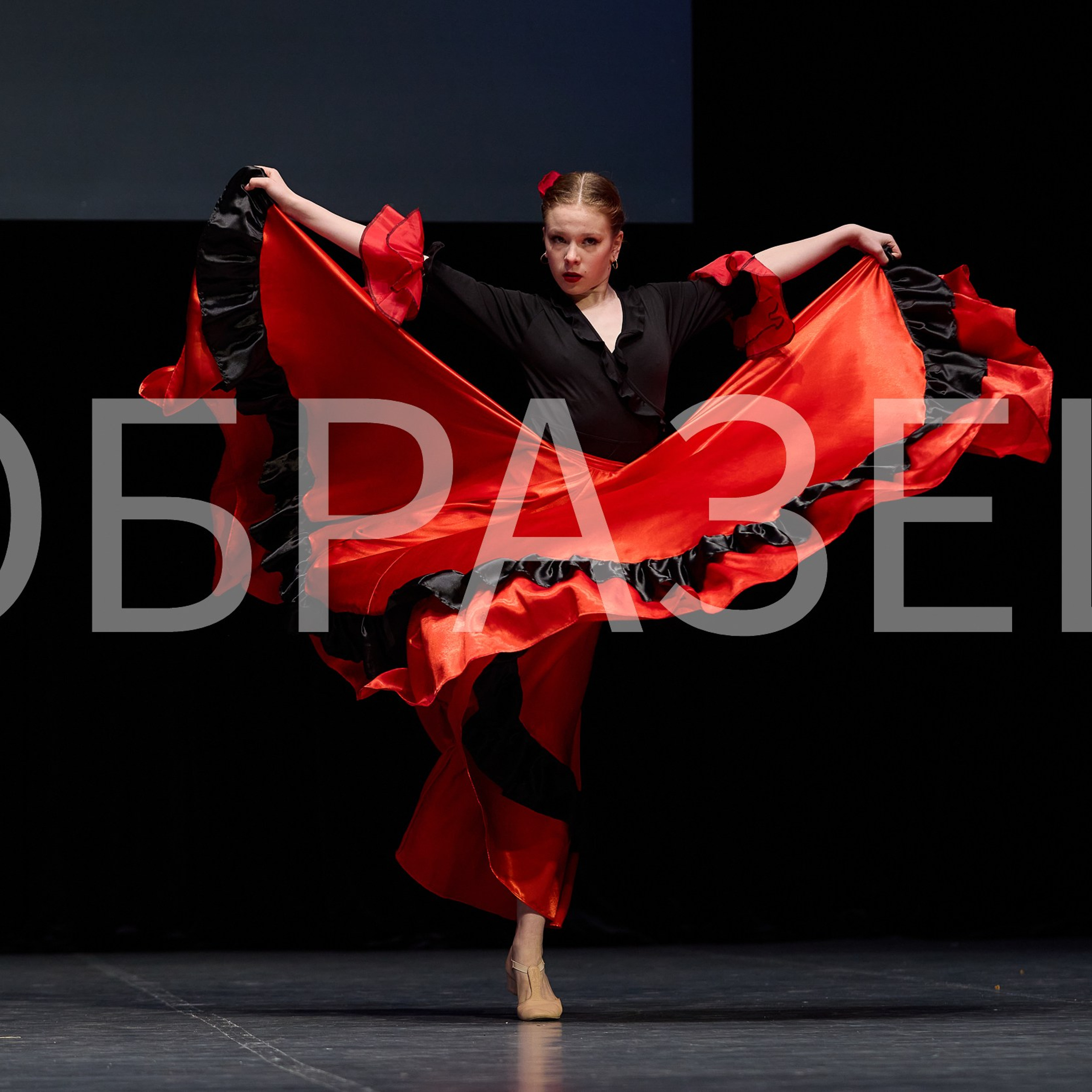 София-Русь фестиваль 2025. Photographer for business Mikhail Semenov. Aqua photo studio, photo school