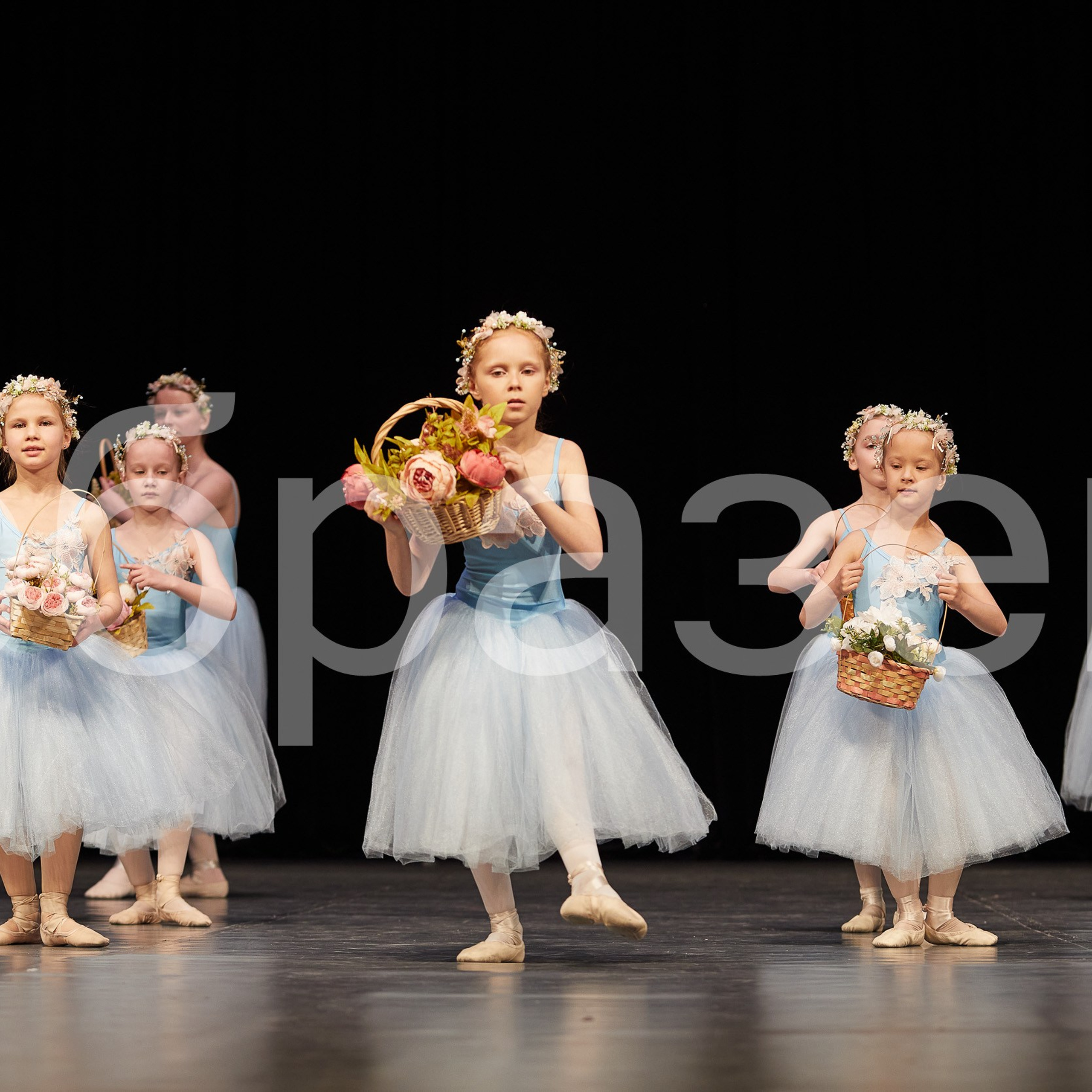 София-Русь фестиваль. Photographer for business Mikhail Semenov. Aqua photo studio, photo school