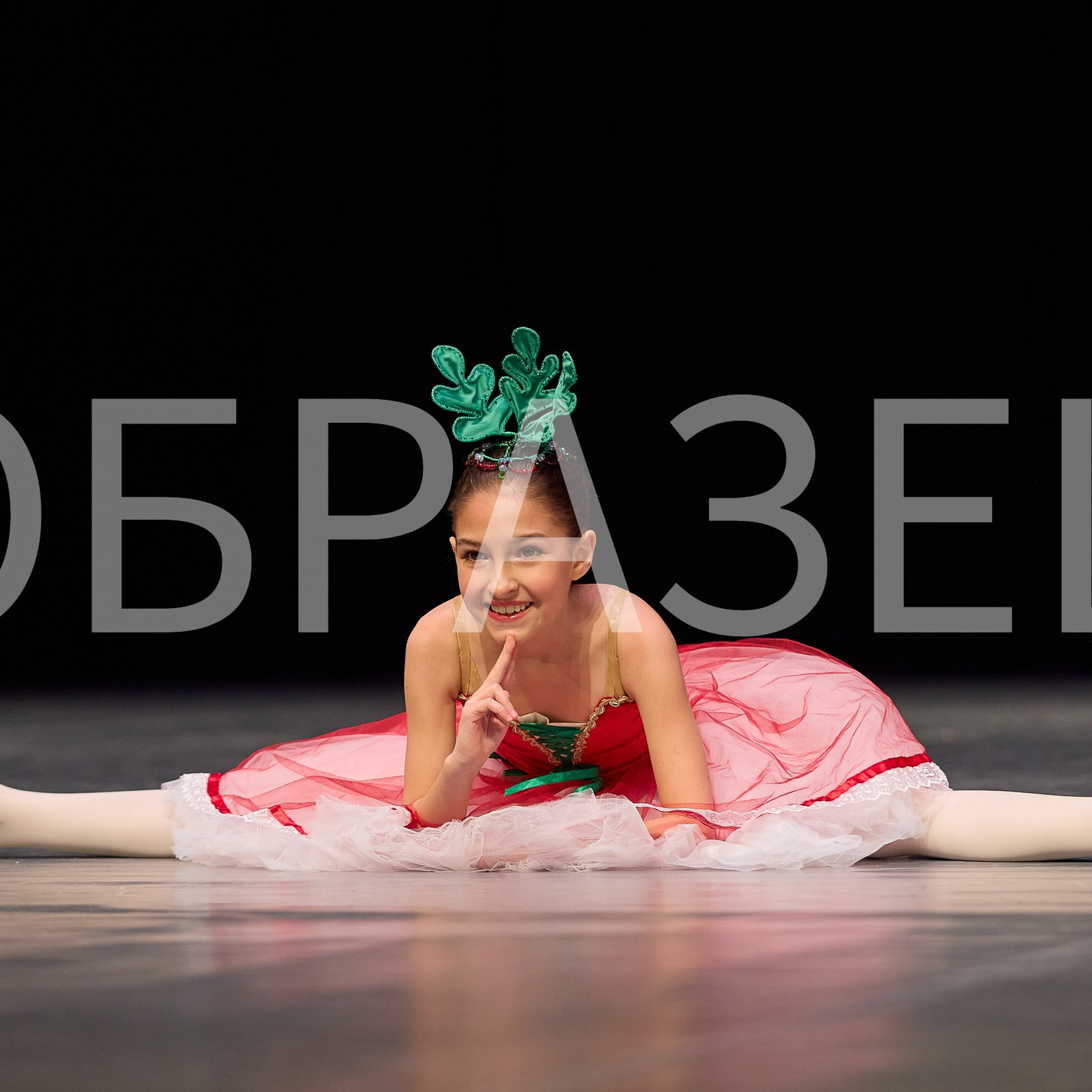 София-Русь фестиваль 2025. Photographer for business Mikhail Semenov. Aqua photo studio, photo school