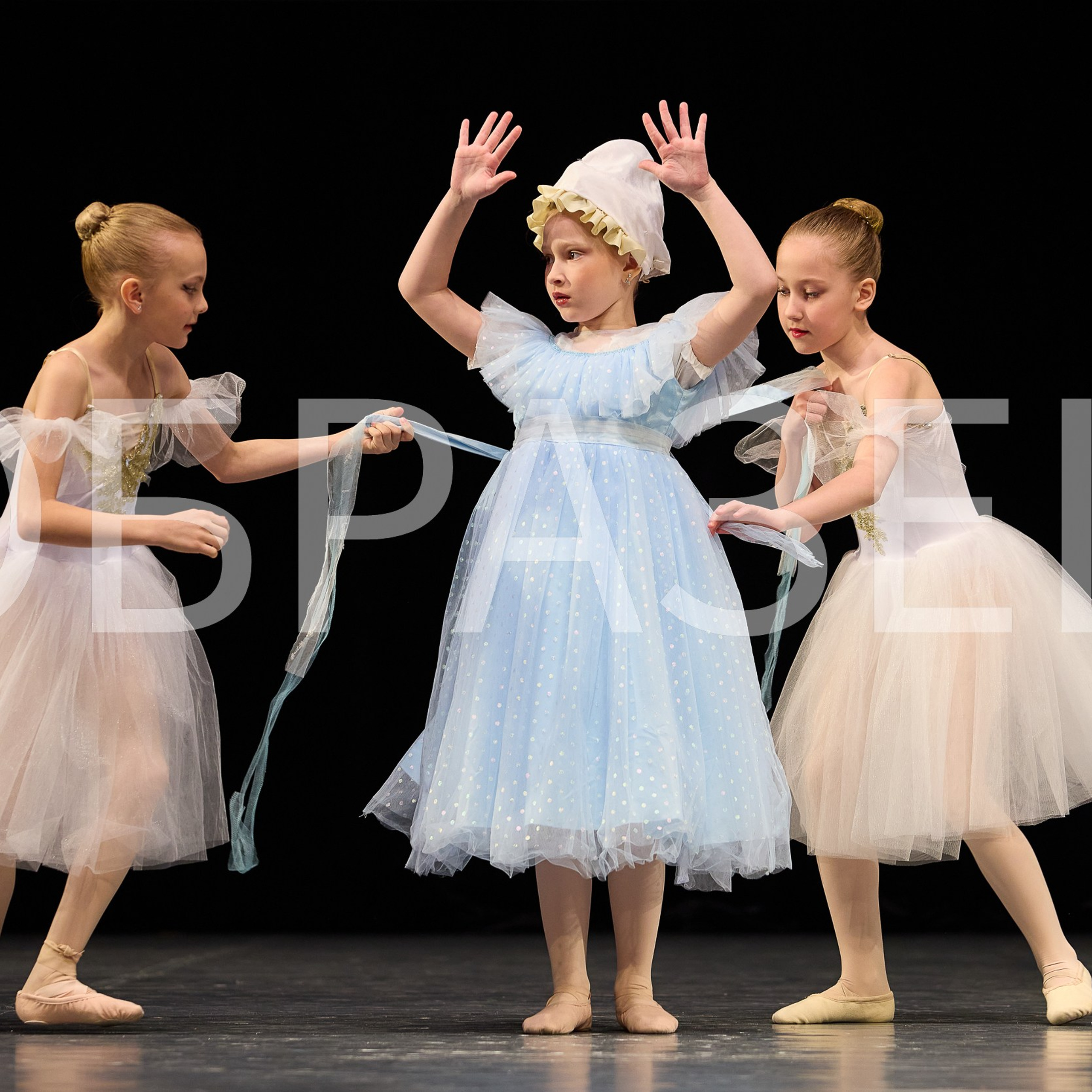 София-Русь фестиваль 2025. Photographer for business Mikhail Semenov. Aqua photo studio, photo school