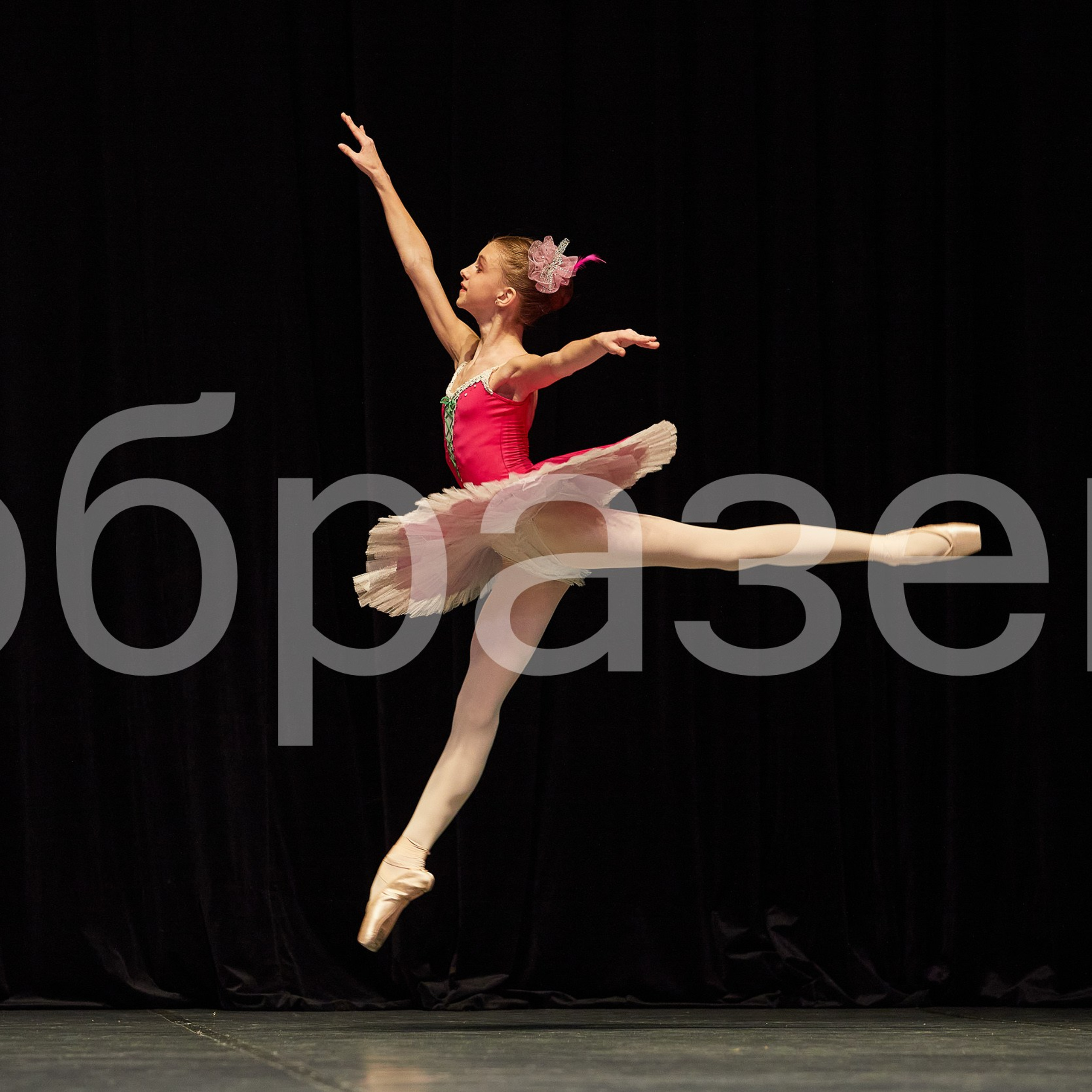 София-Русь фестиваль. Photographer for business Mikhail Semenov. Aqua photo studio, photo school