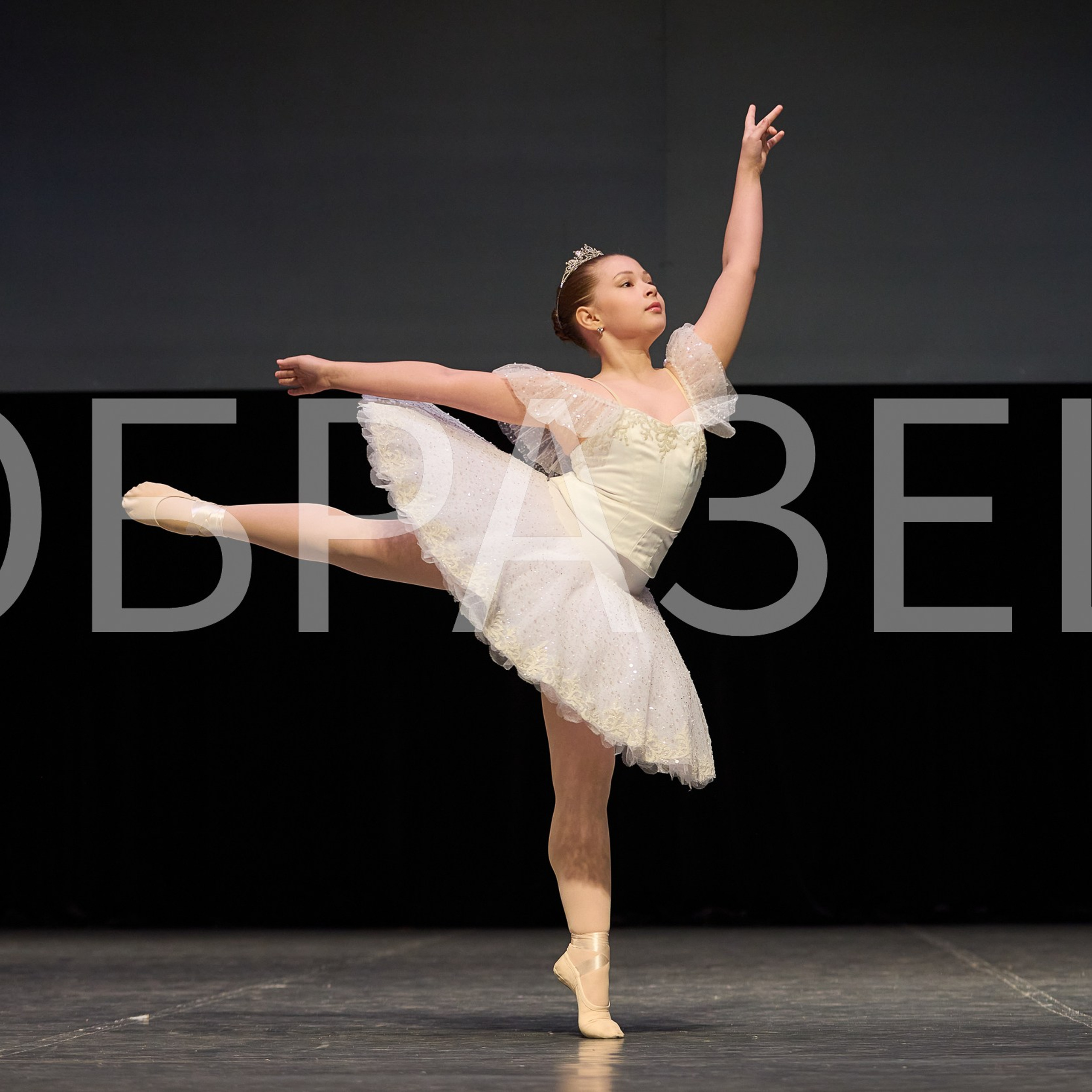 София-Русь фестиваль 2025. Photographer for business Mikhail Semenov. Aqua photo studio, photo school